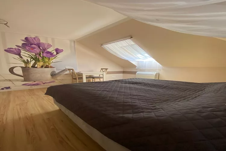 Komfortowy apartament dla 9 osób Międzywodzie-Bedroom