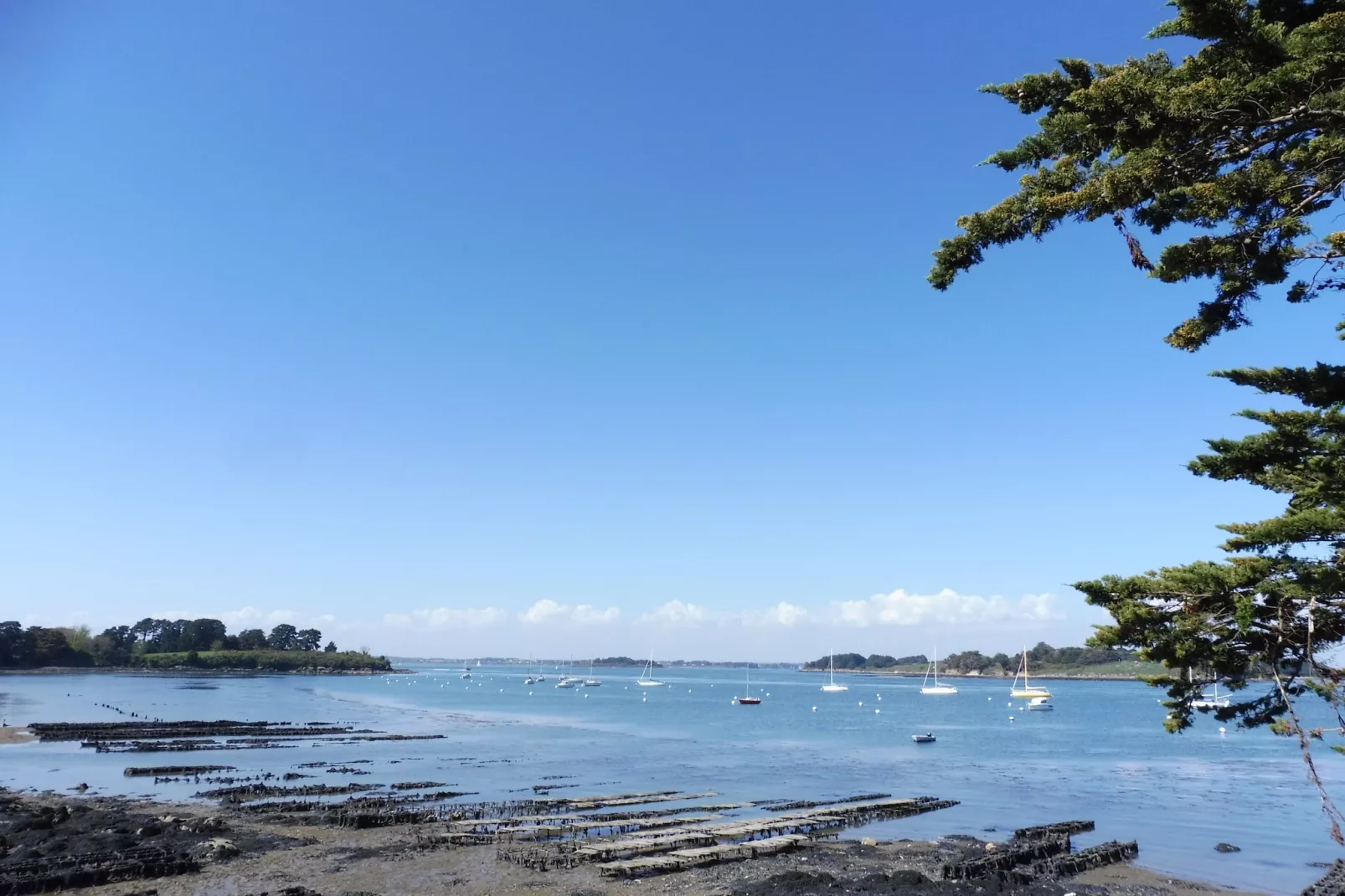 Maison de vacances avec jardin Surzur-Zones d'été à 20 km