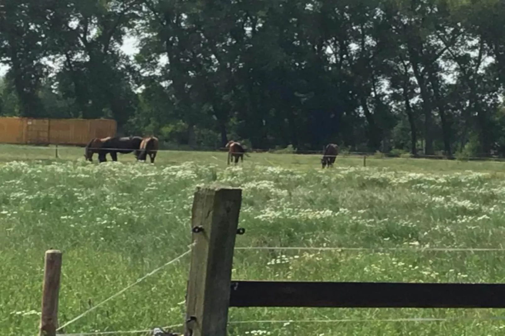 De oude stal-Areas summer 20km