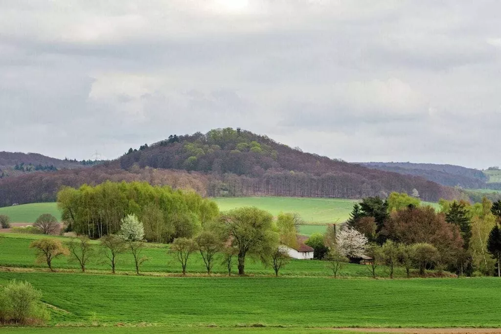 151561-Nicht getaggt