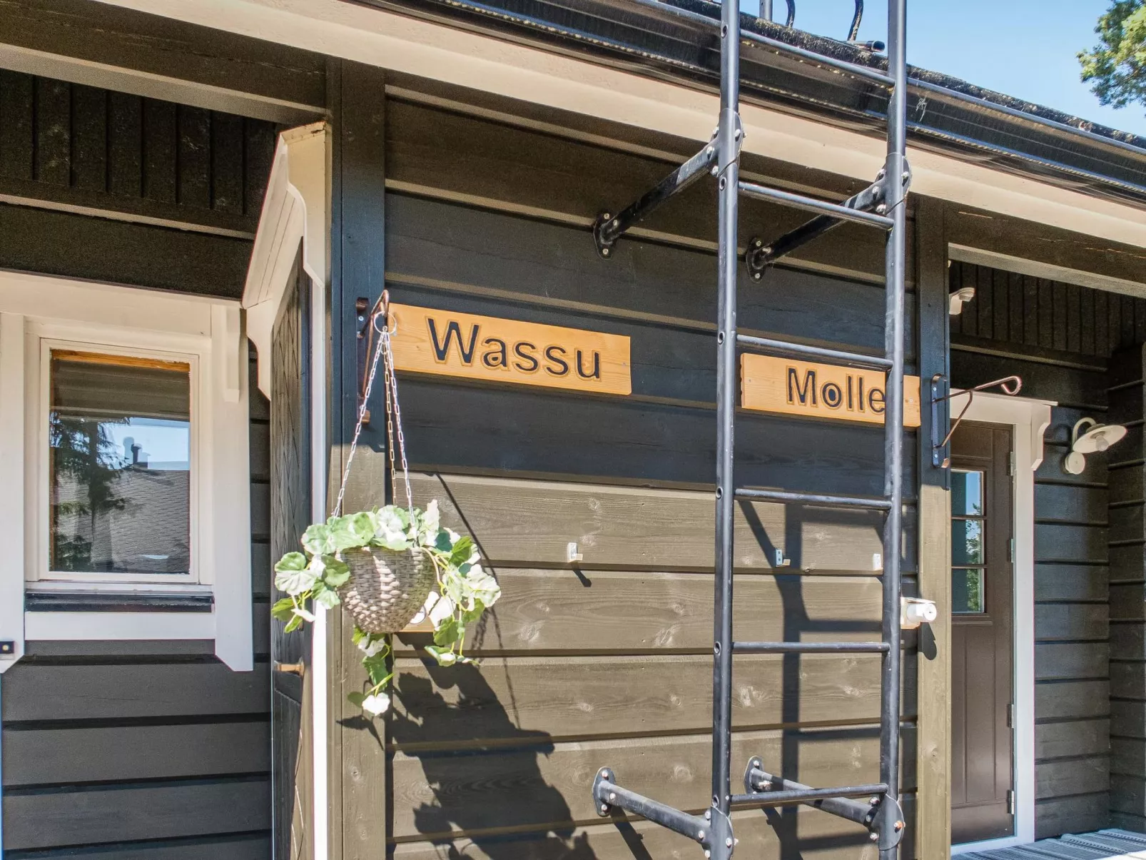 Vuokatin wassu-Outside