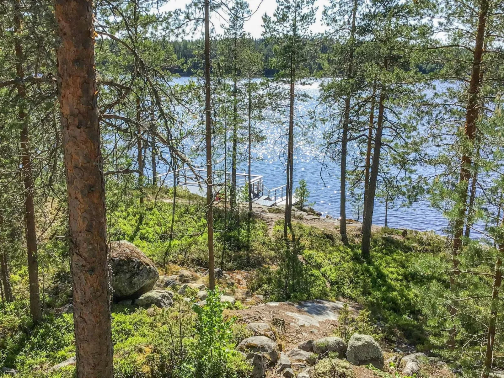 Näsinjoutsen-Draußen