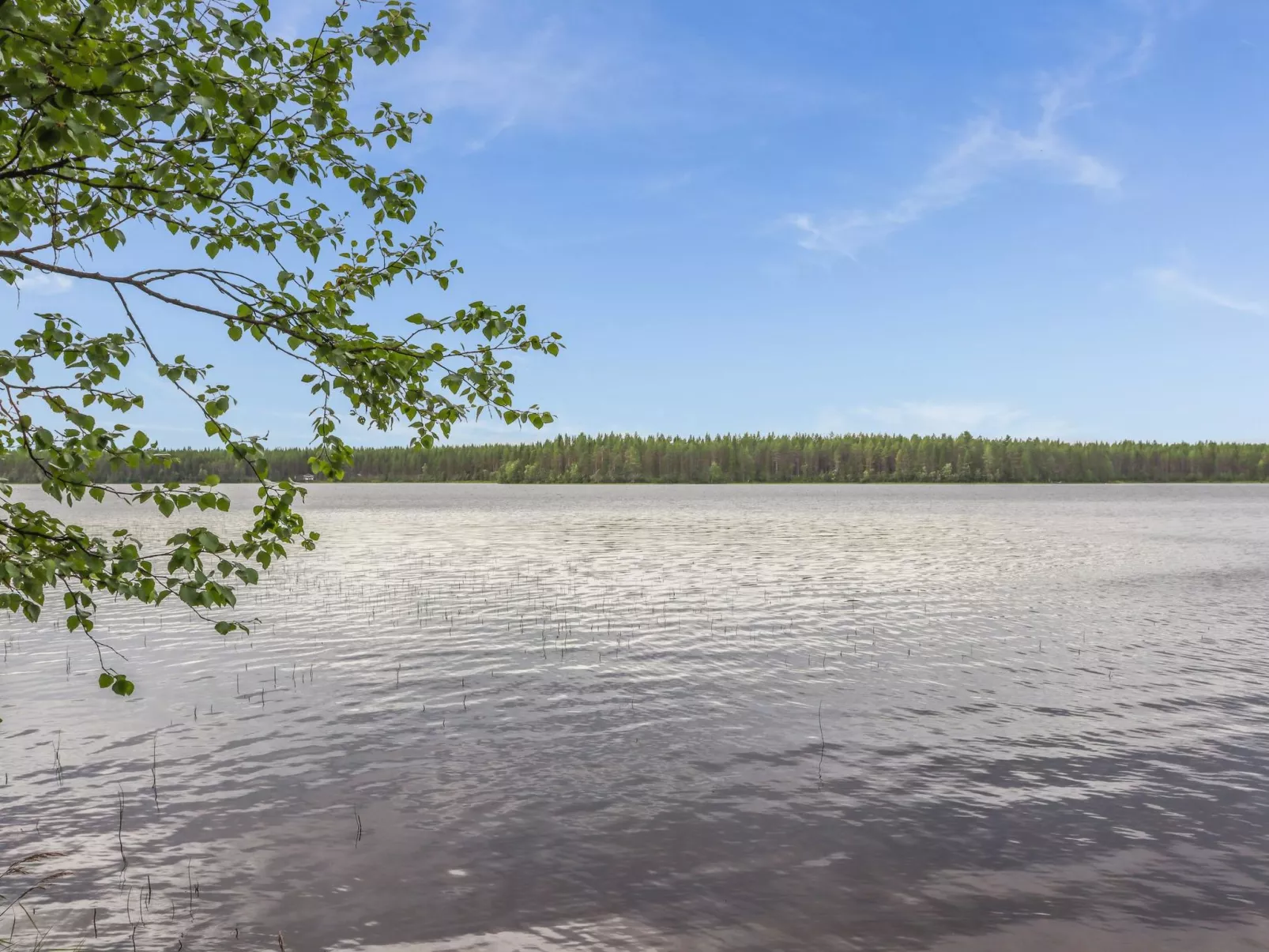 Suvi-tuuli-Draußen