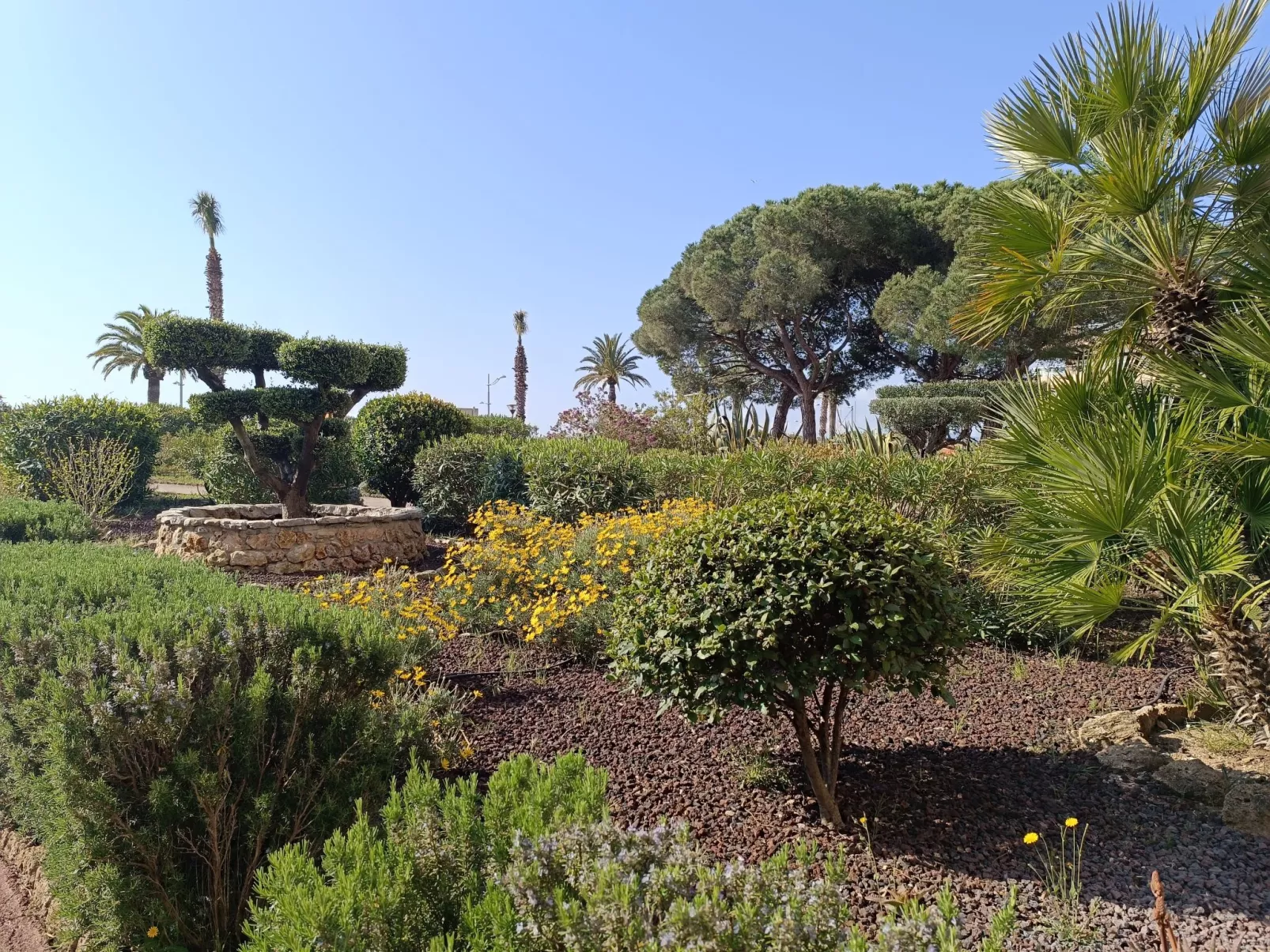 Le Méditerranée-Dehors