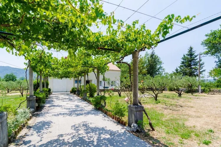 Holiday Home Field of Olives - Two Bedroom Holiday Home with Terrace-Außenbereich