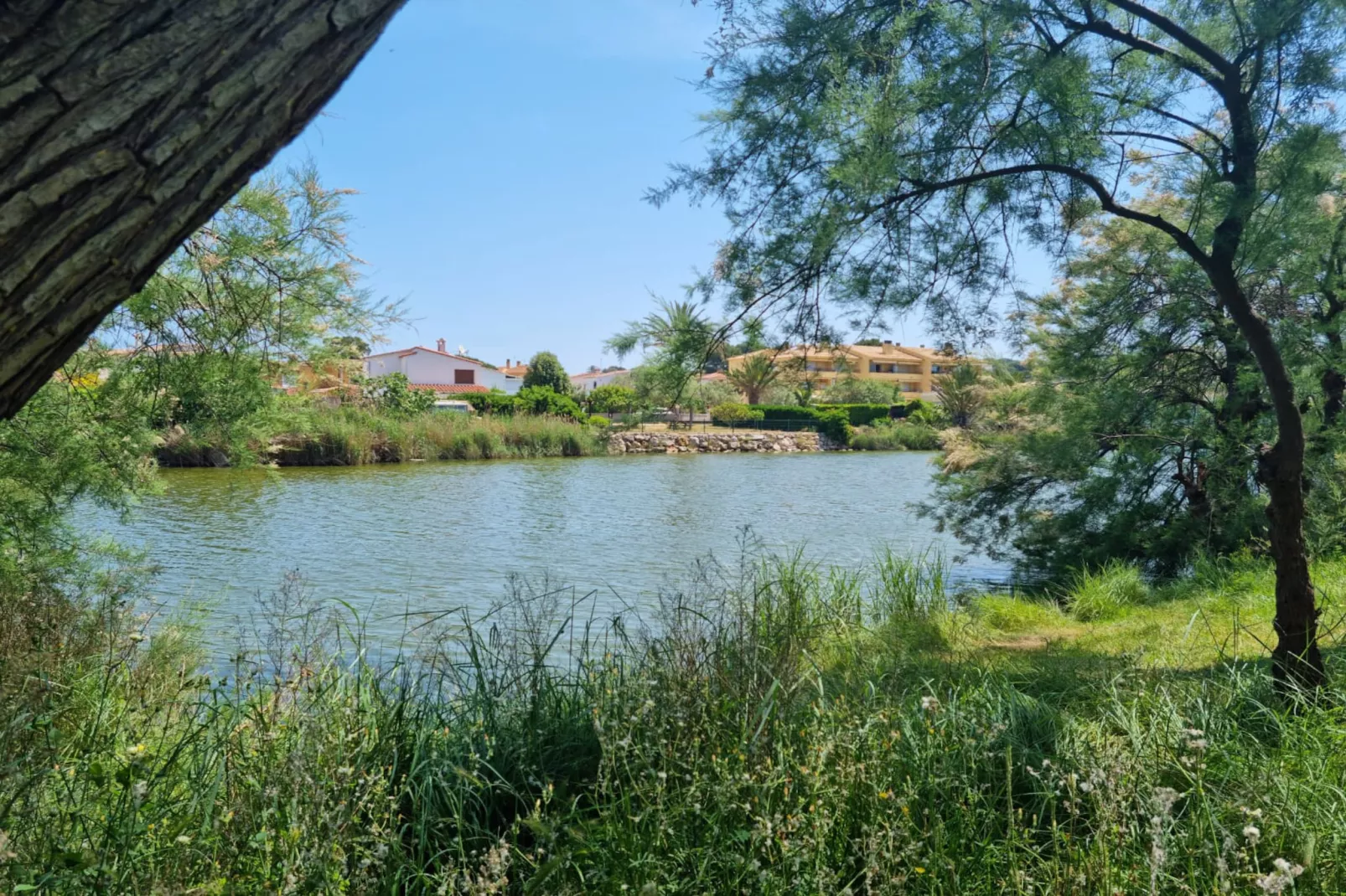 Maite-Gebiete Sommer 1 km
