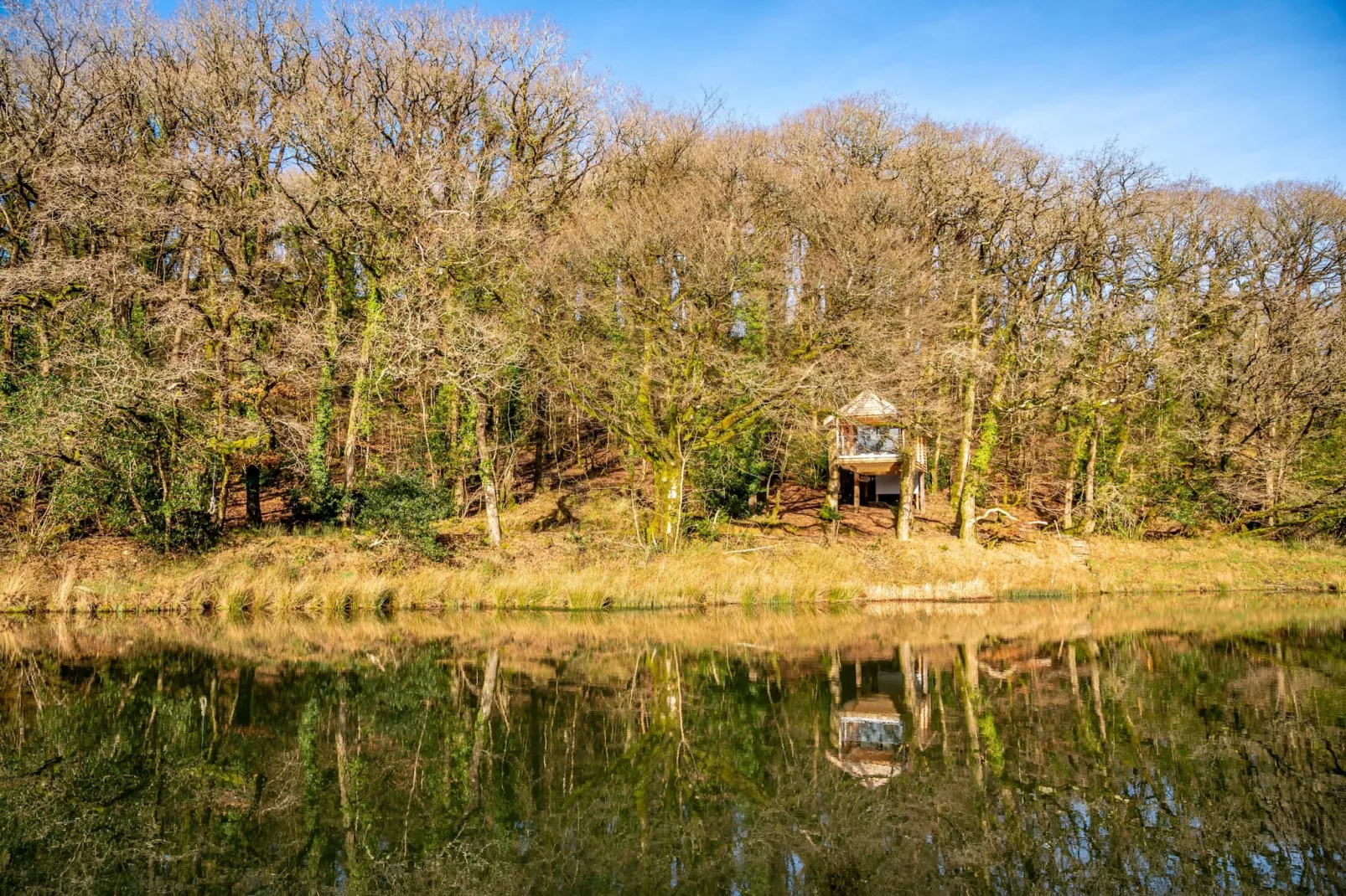 Yeworthy Eco-Treehouse-Outdoor