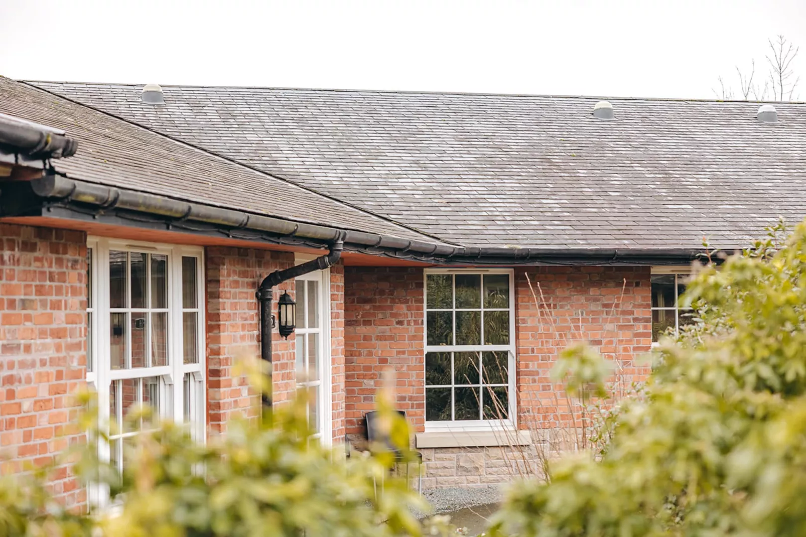 Netley Hall - Rose-Outdoor