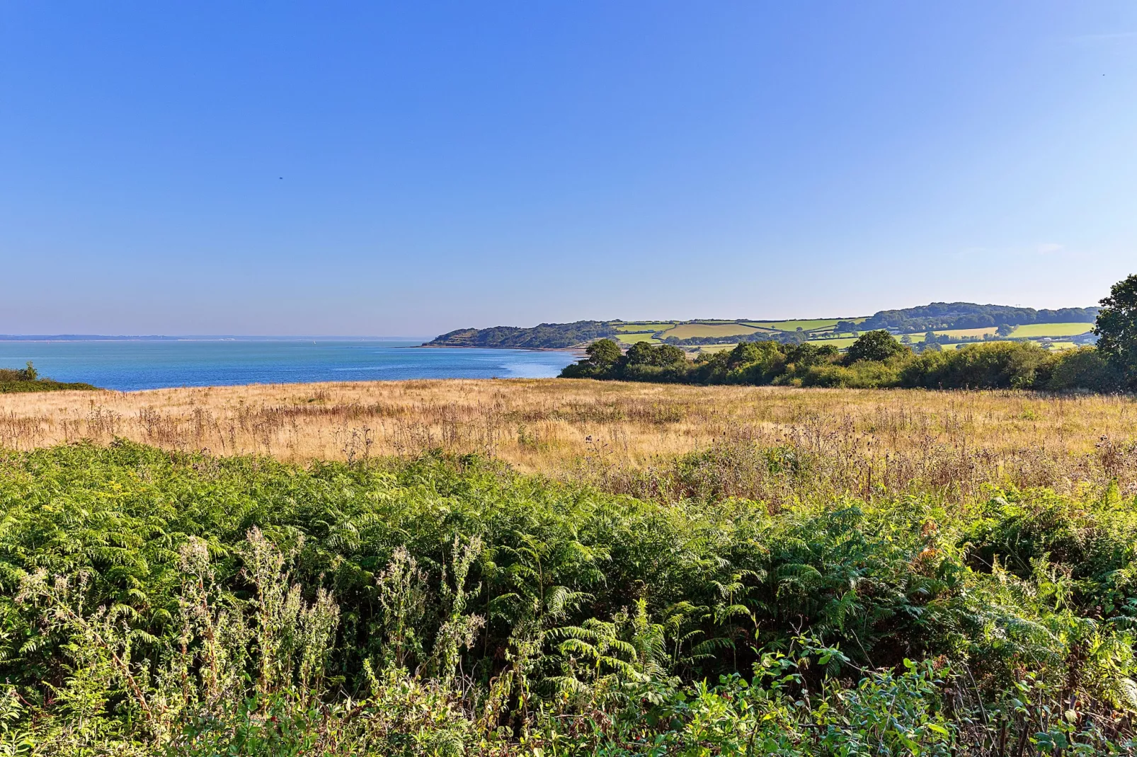 Ocean View-Outdoor