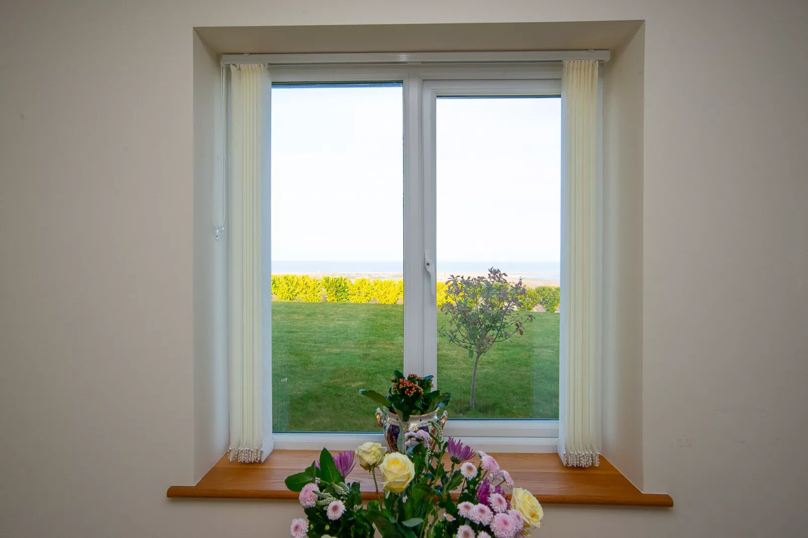 Picton Lodge - Sea Views-Outdoor