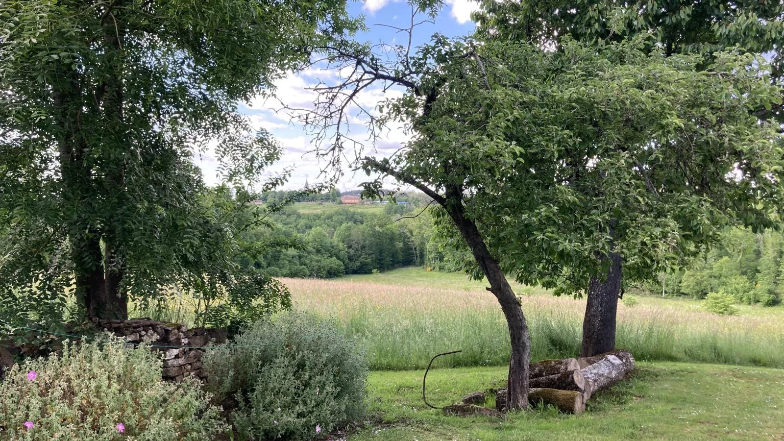Maison des Yourtes-Gardens summer