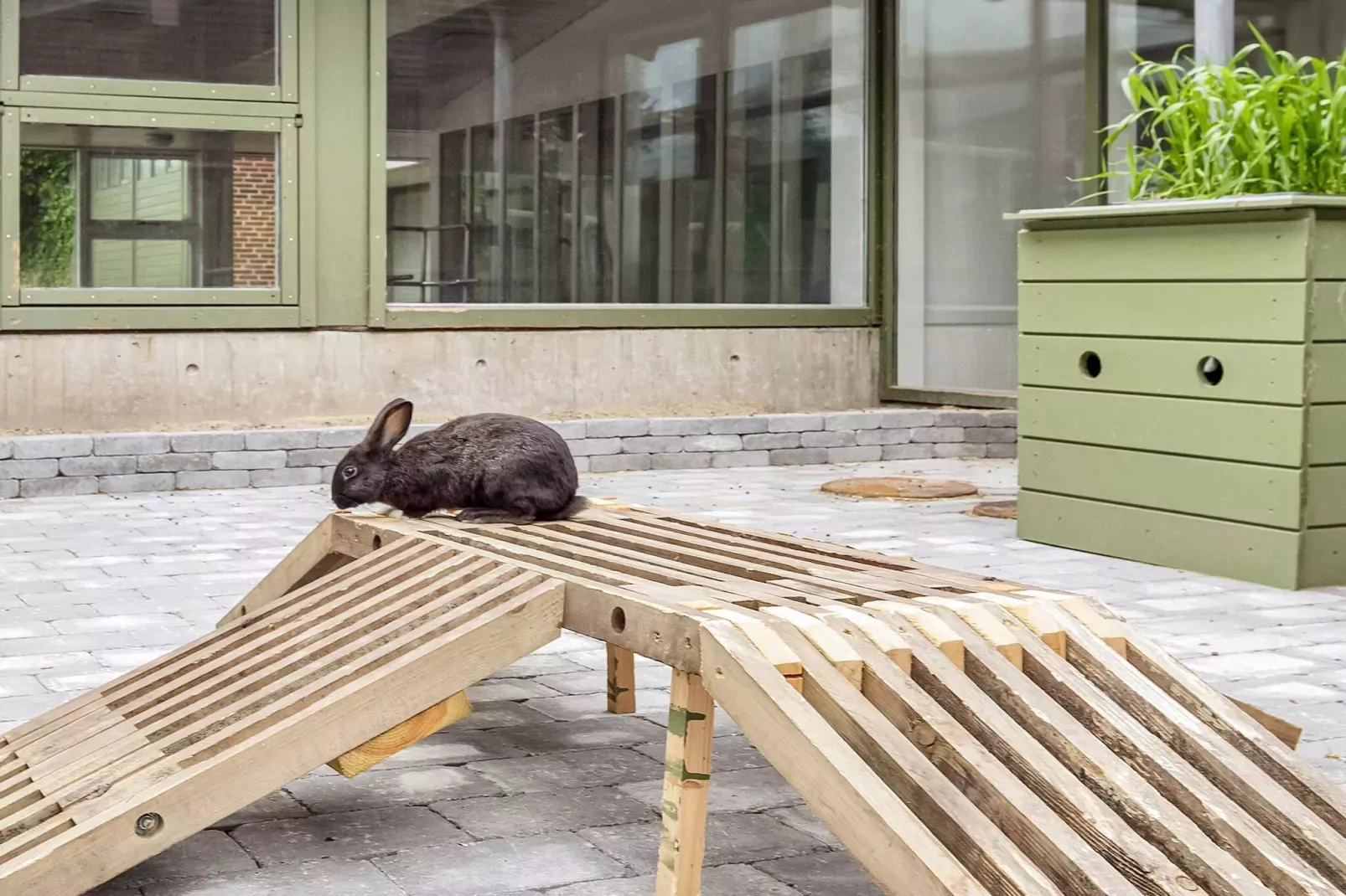 Maison de vacances pour 6 dans un parc de vacances a Hanstholm-Non tagué