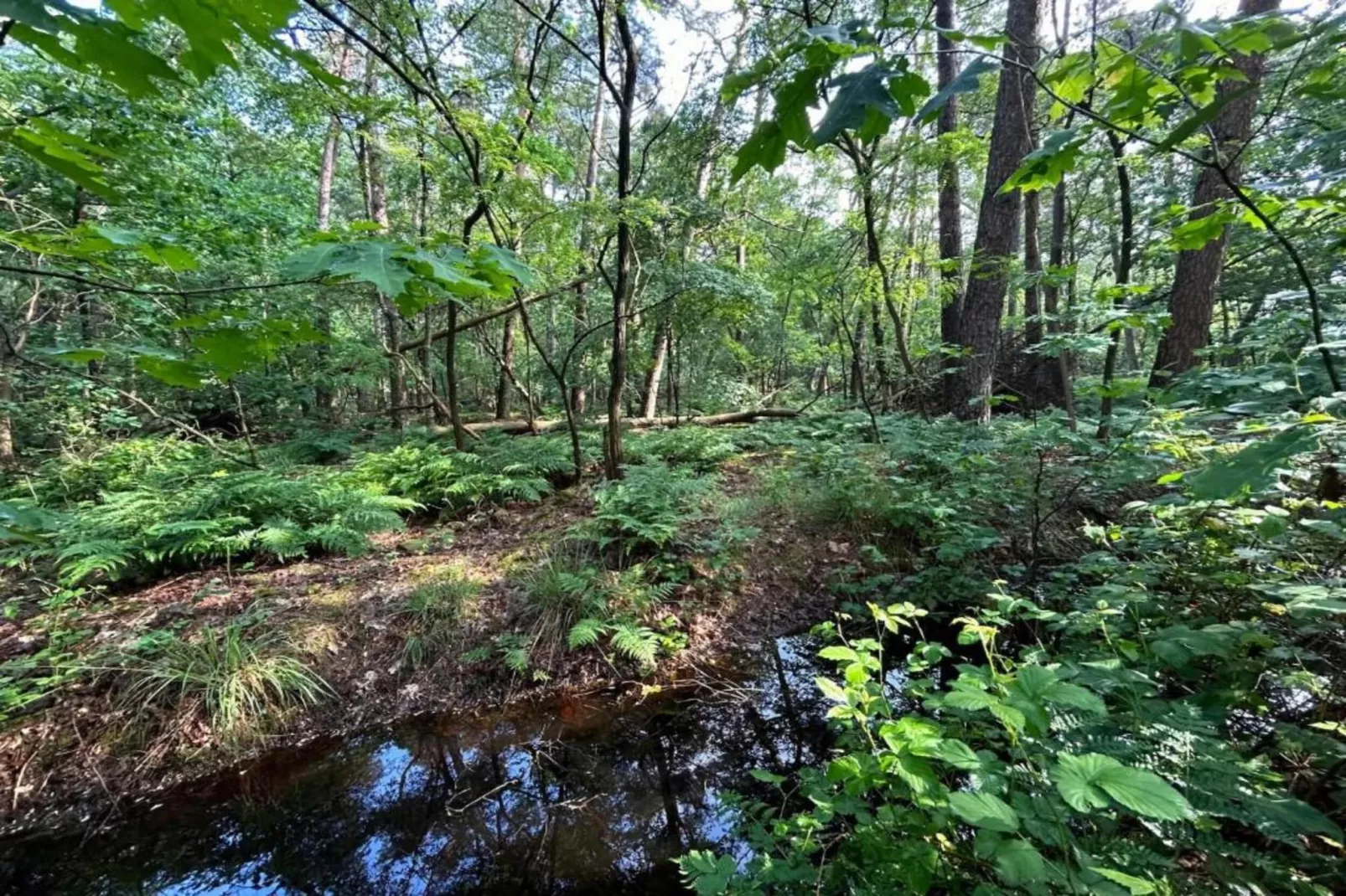 Het Kruisselt-Gebiete Sommer 20 km