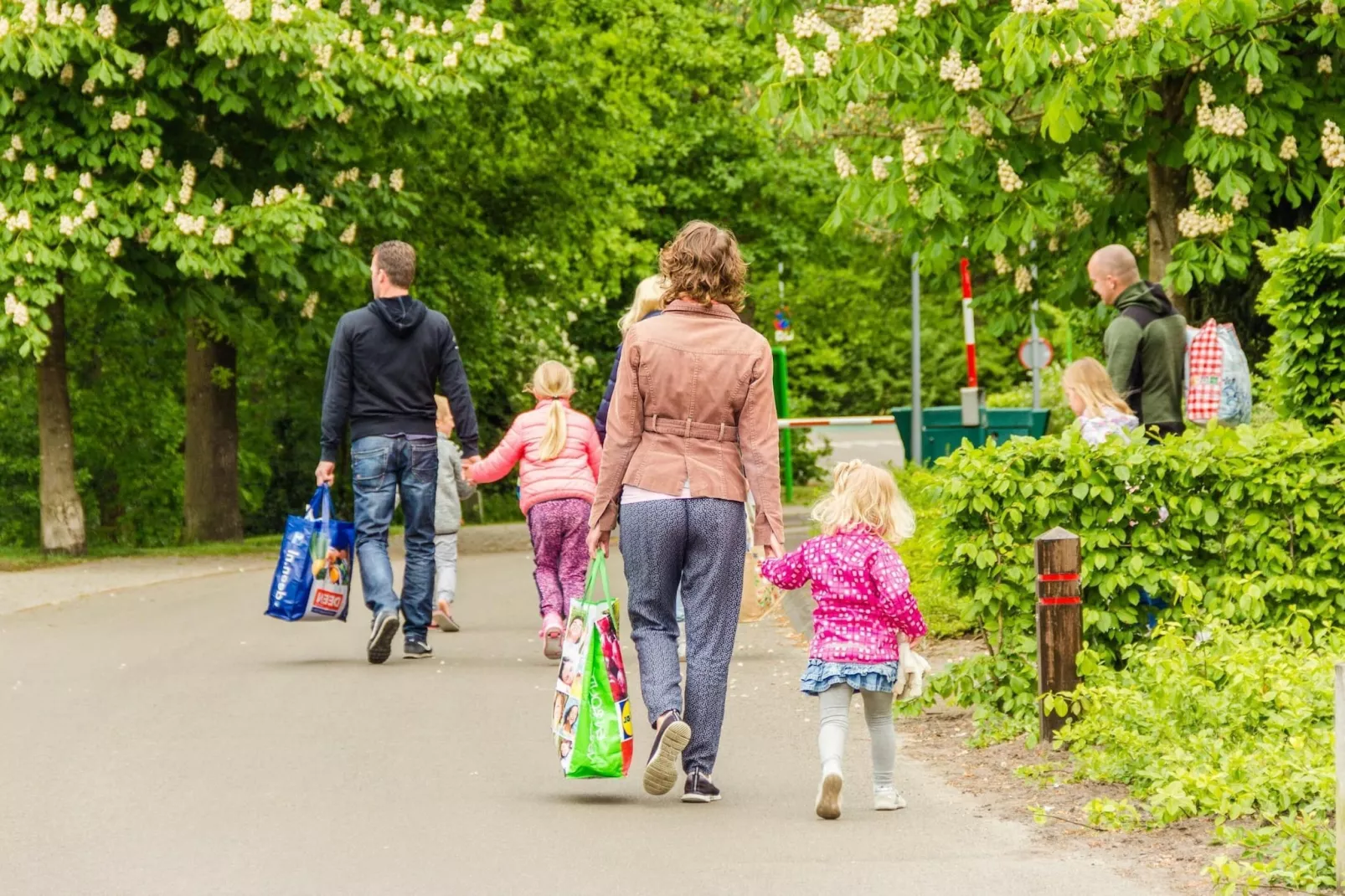 Vakantiepark Emslandermeer 1-Areas summer 1km