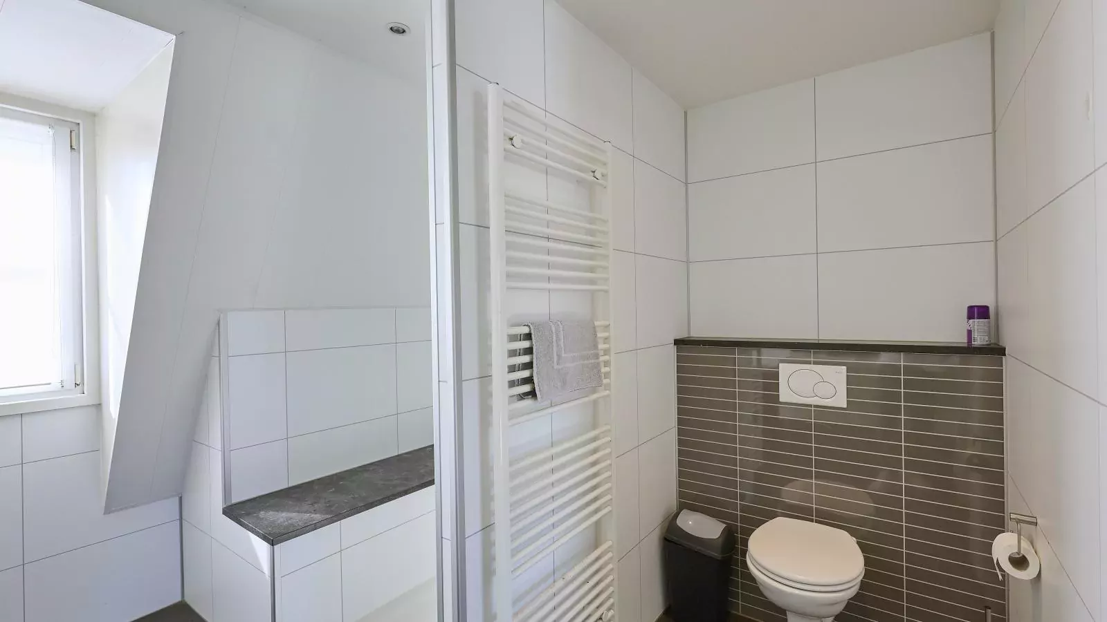 T Kaatsheuveltje 5-Bathroom