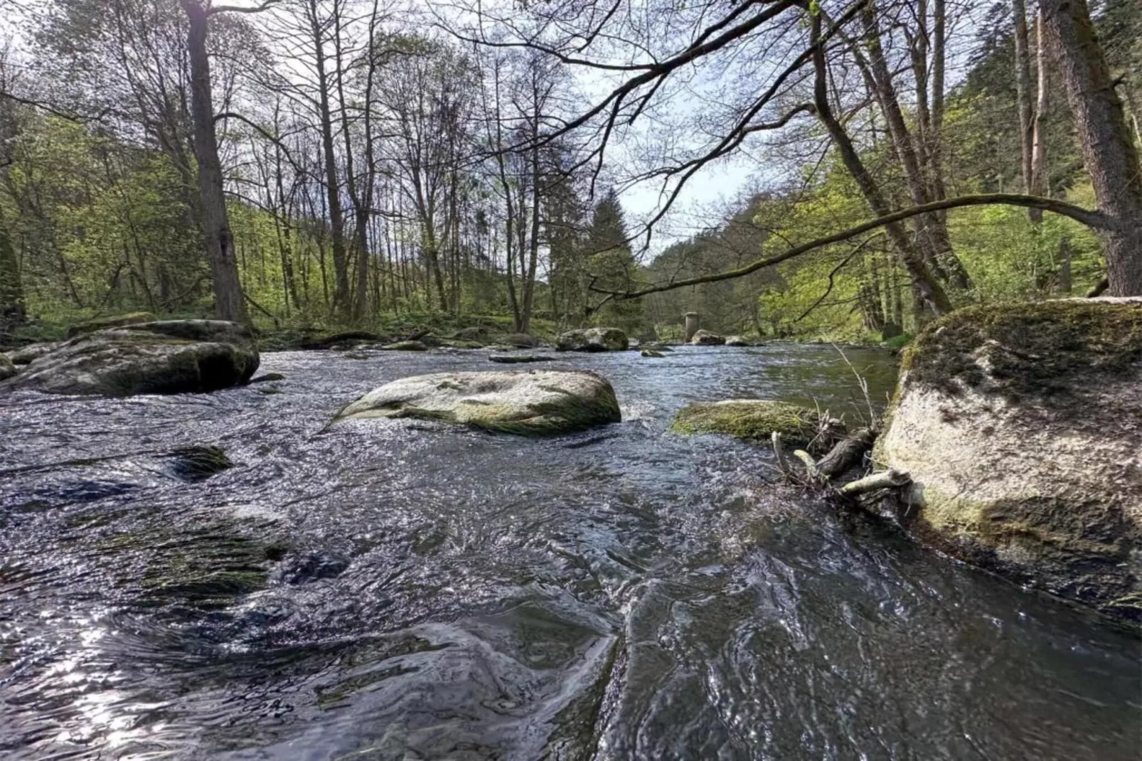 FERIENDORF SEEBLICK - Tiny Chalet am Eixendorfer See-Gebiete Sommer 20 km