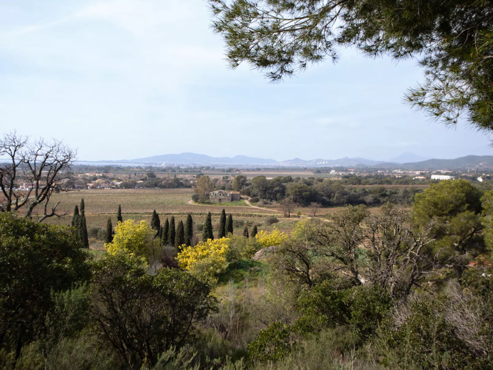 Les Canoubiers III-Area