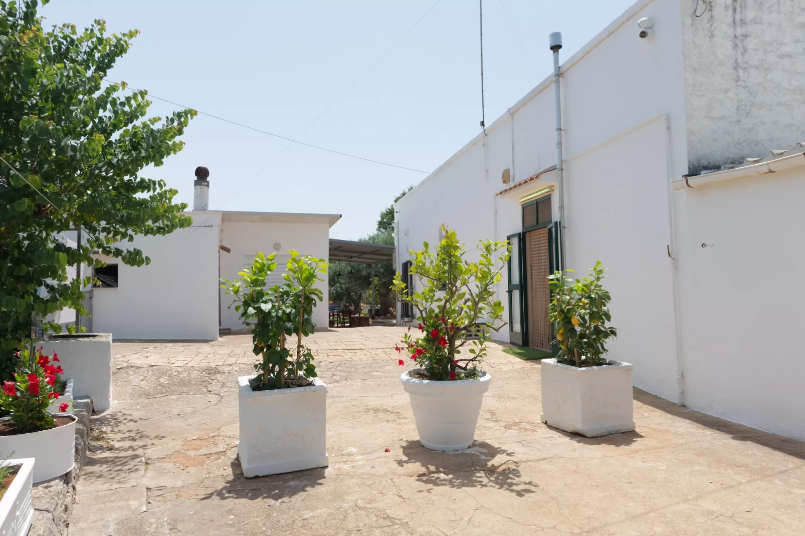 Lamia Papo in Ostuni-Gärten Sommer