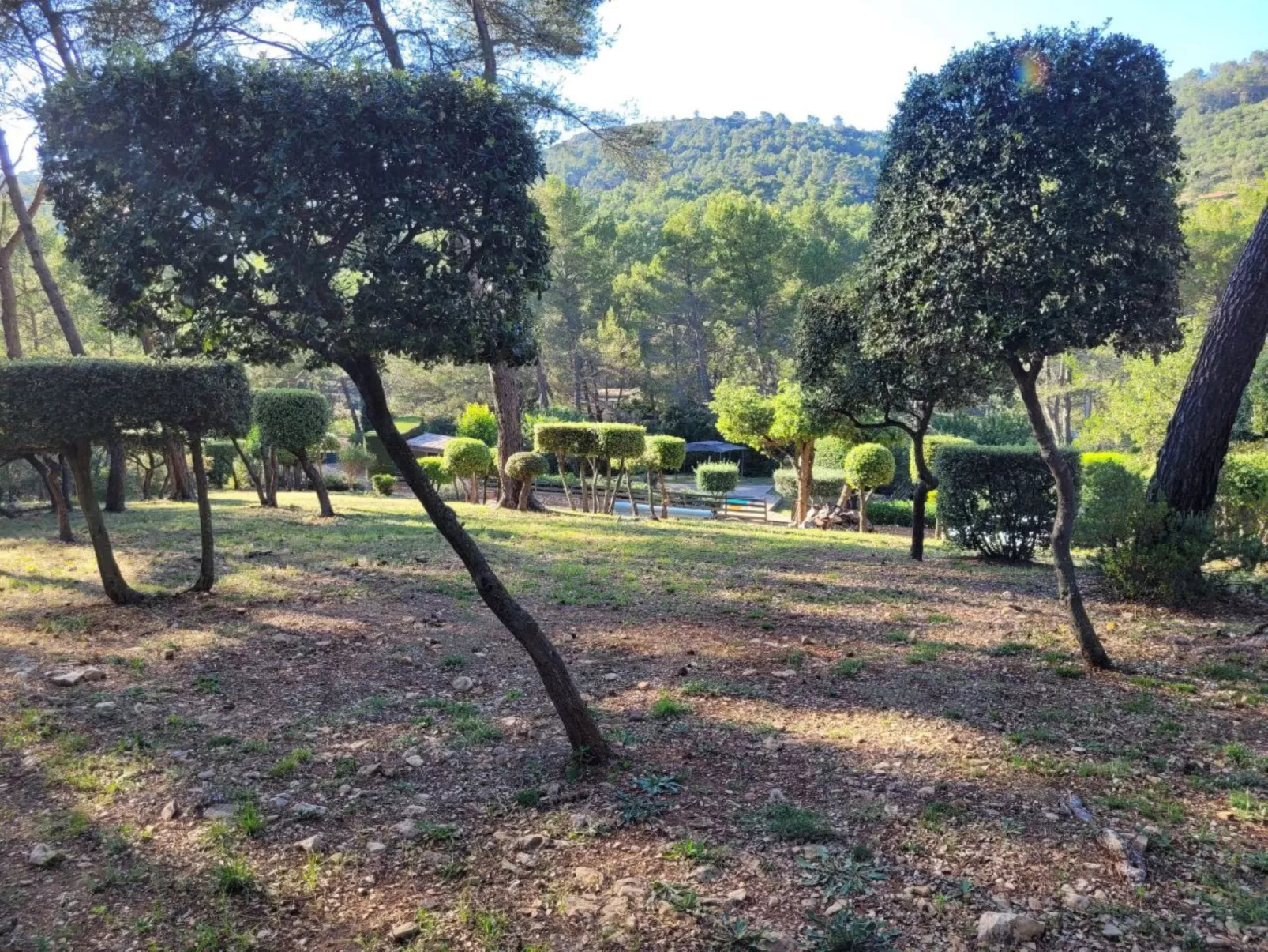 Villa au coeur de la Foret-Outside