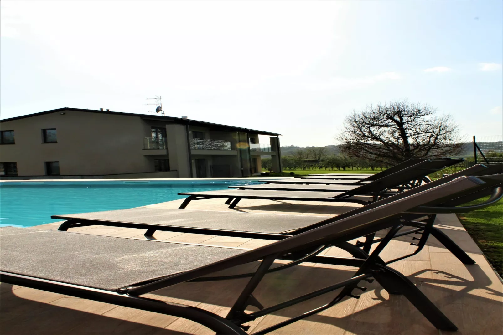 Chardonnay-Pool