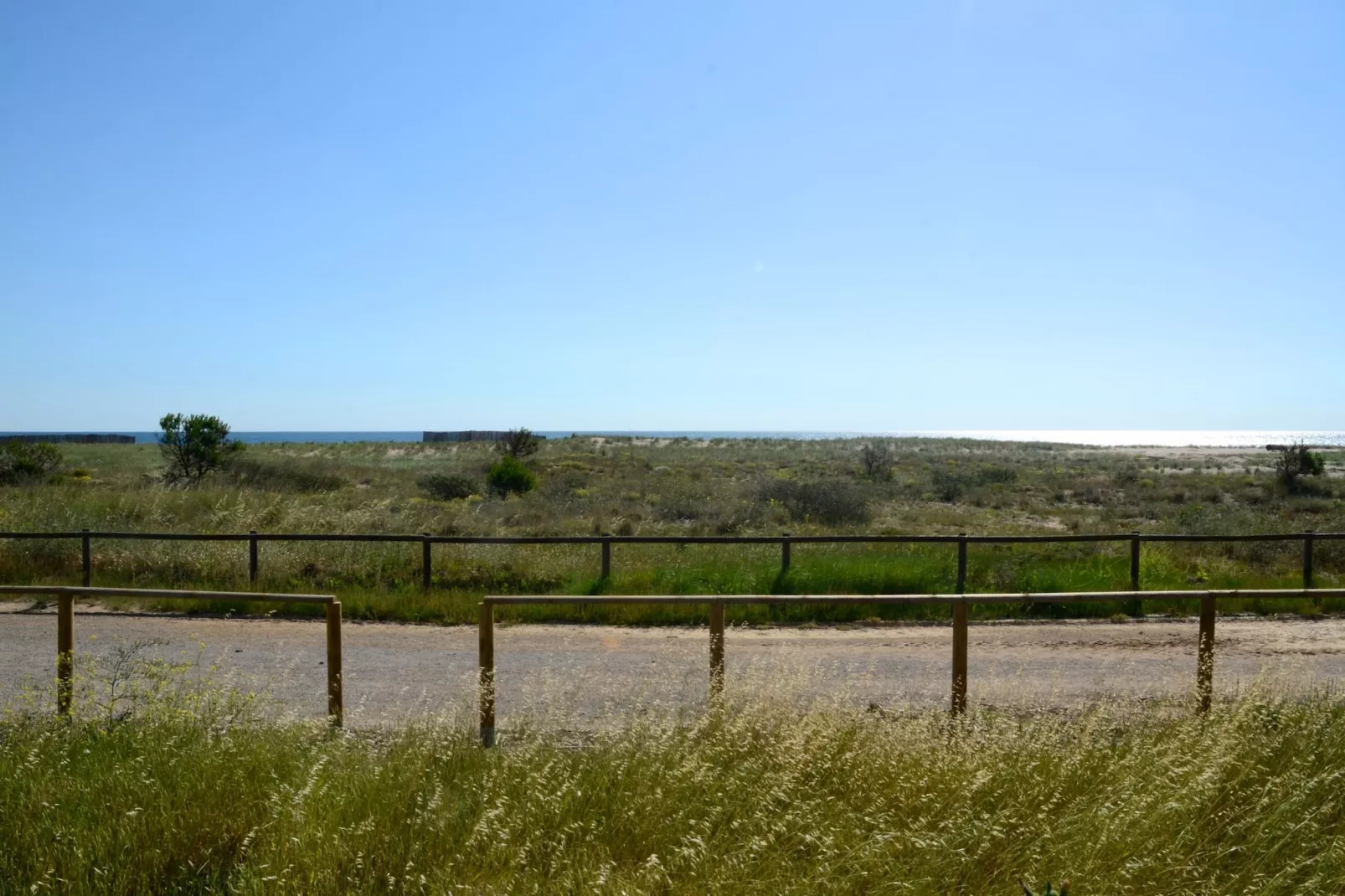 VILLA PINELL-View summer
