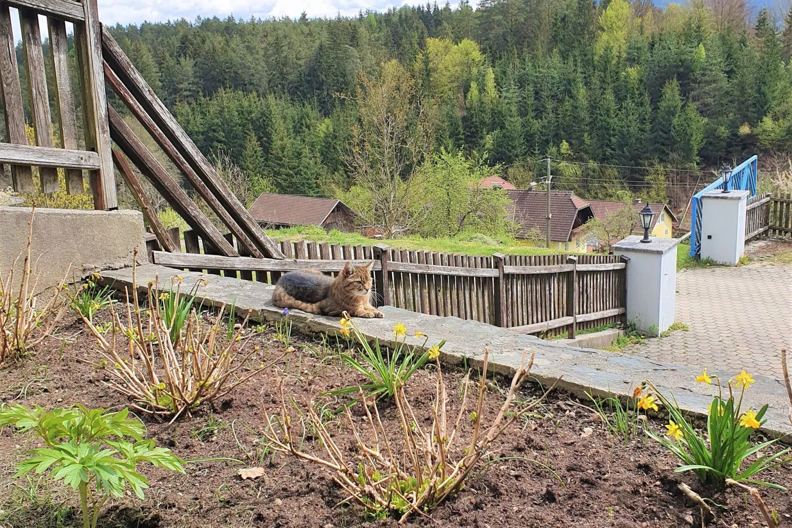 Ferienwohnung Hermann-Gardens summer