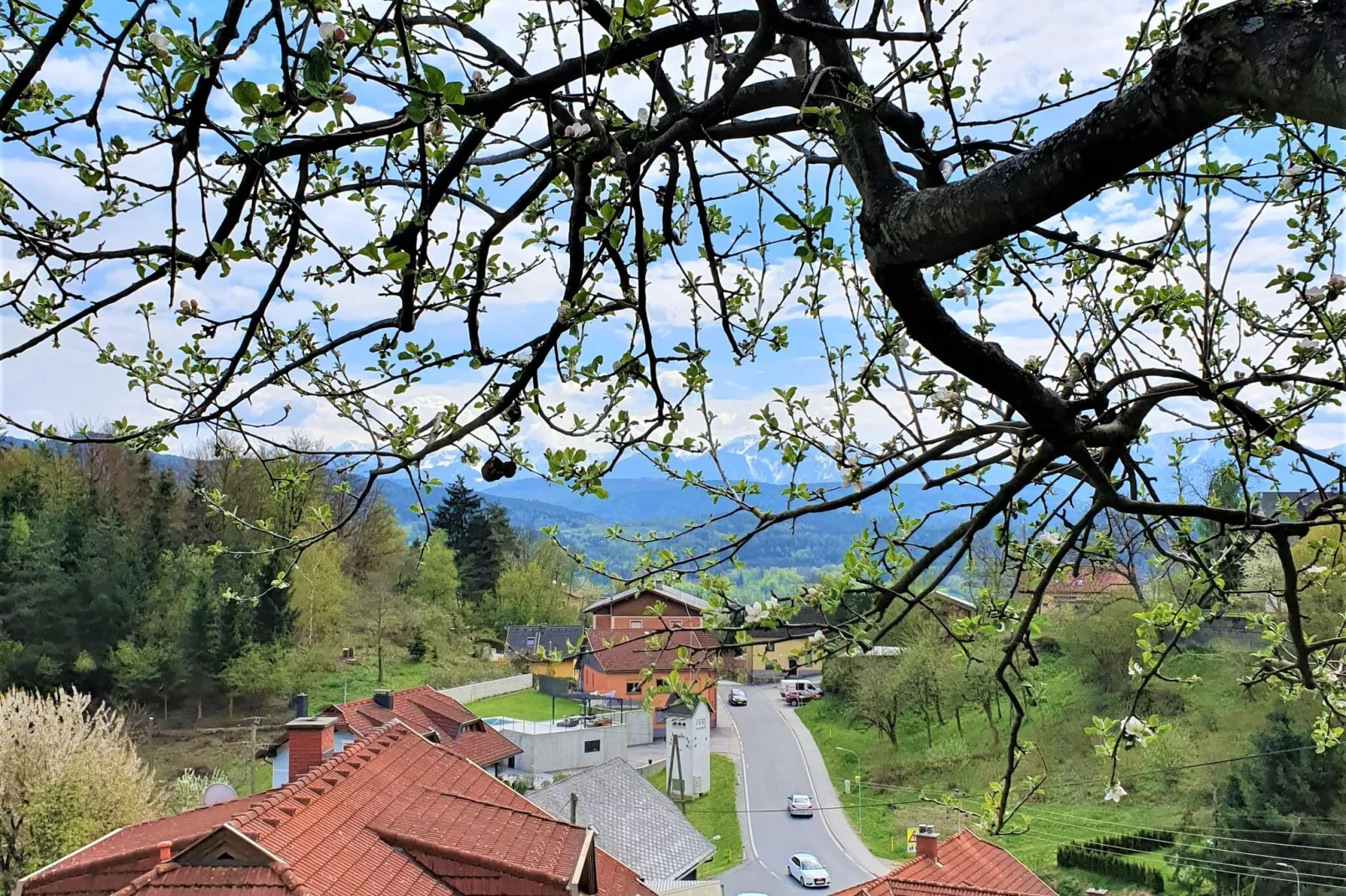 Ferienwohnung Hermann-View summer
