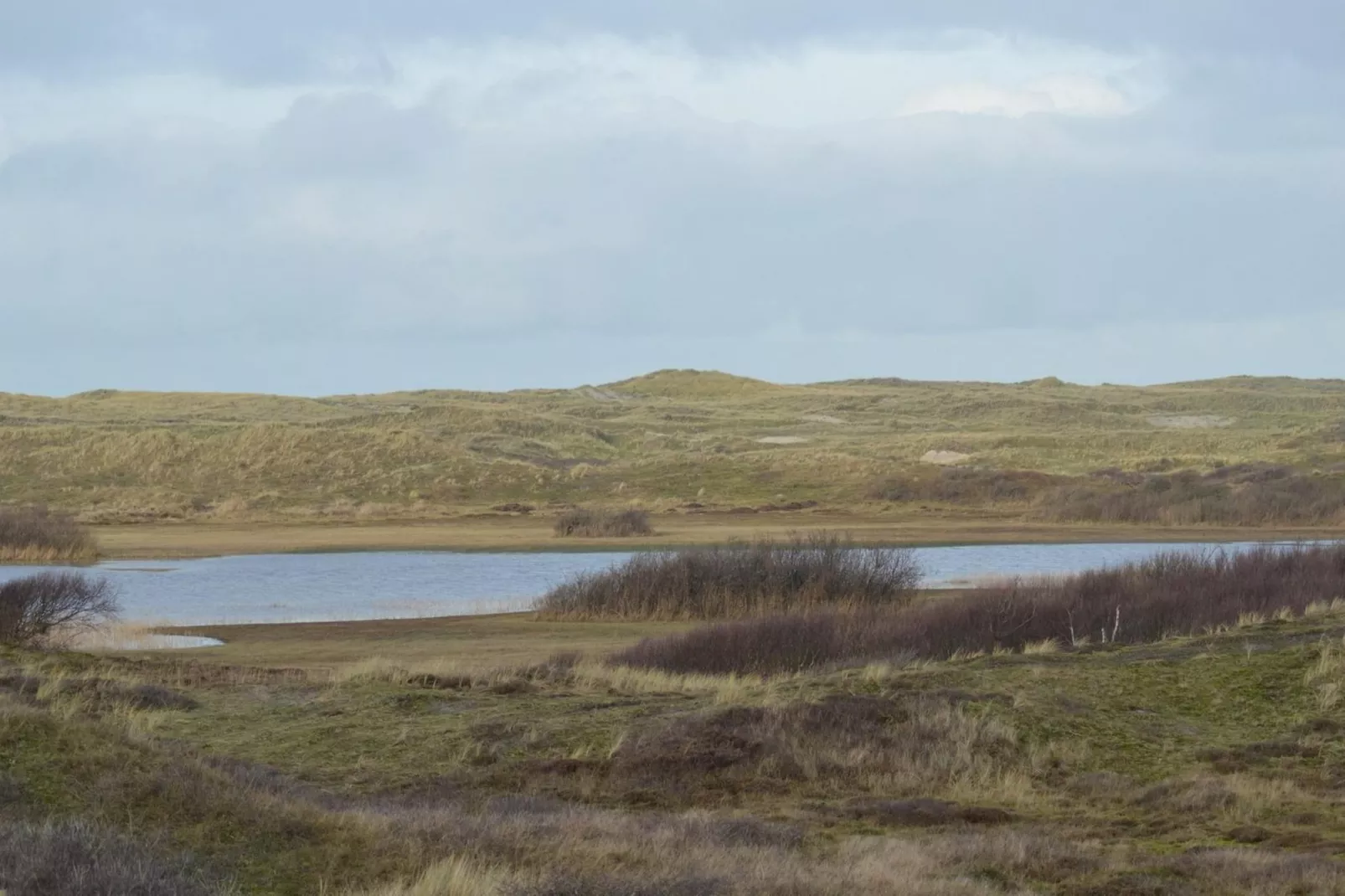 De Schelp 26-Areas summer 5km