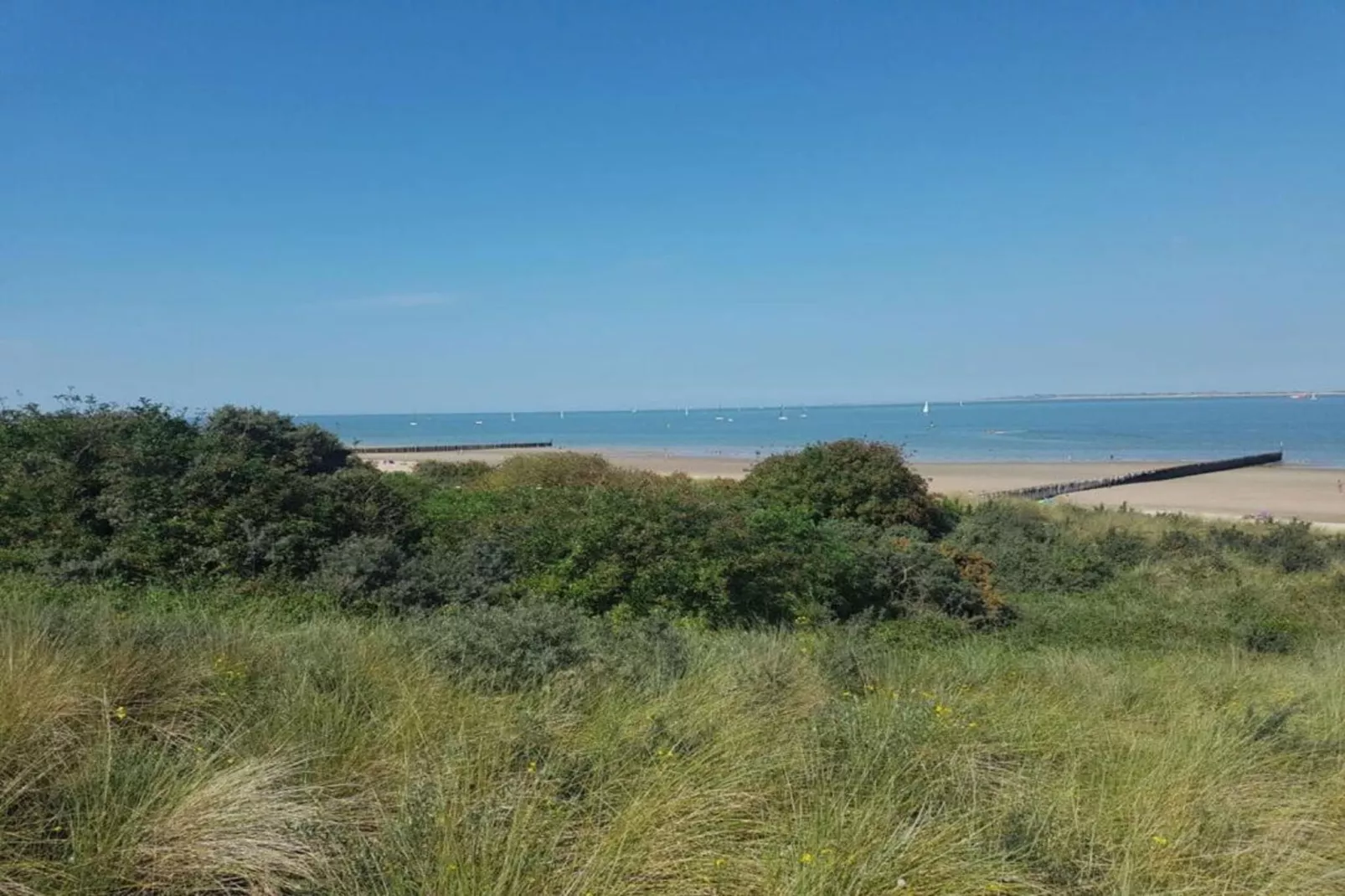Het Platte Putje - Huisdier - nr 2-Areas summer 20km