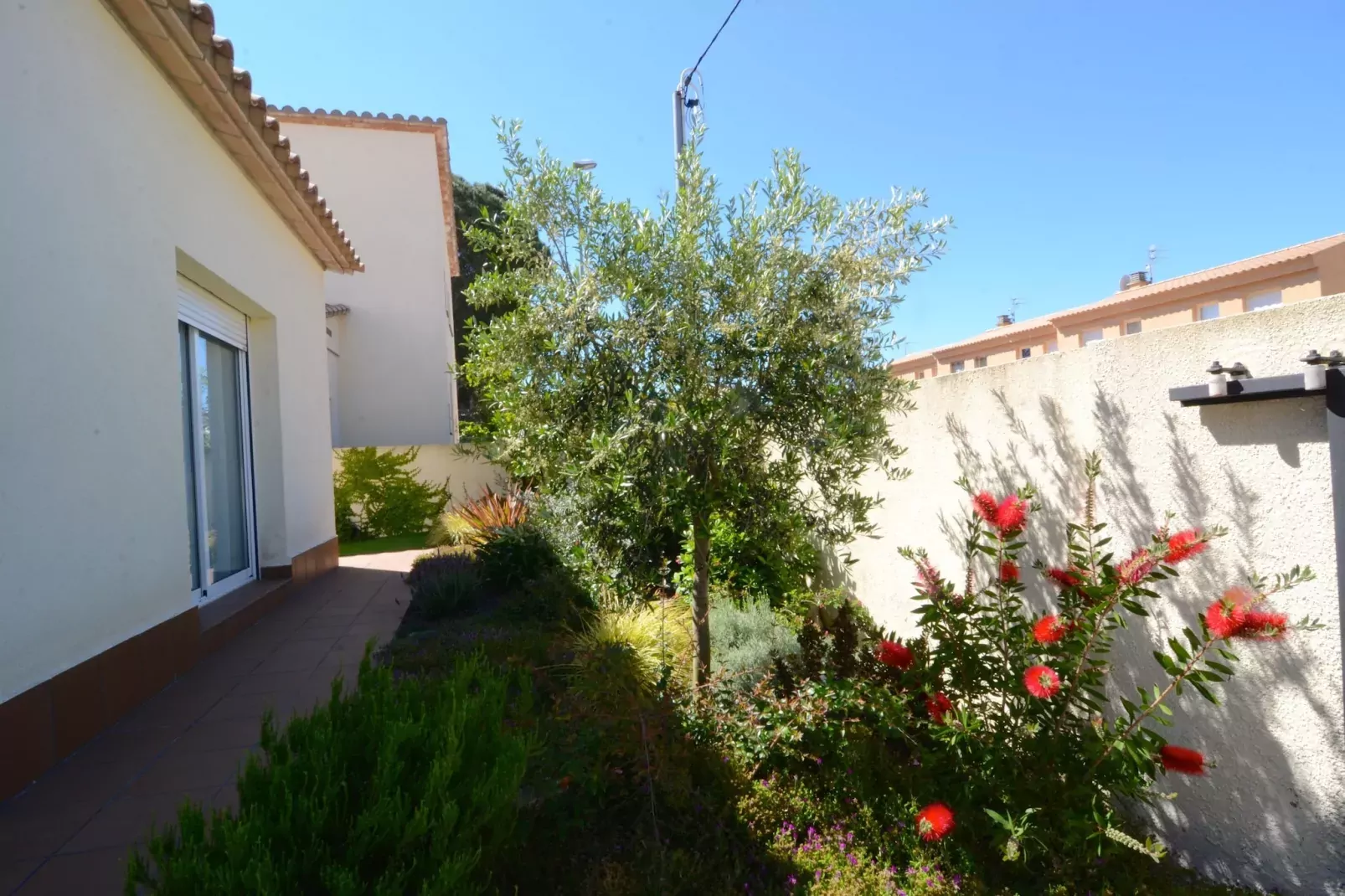 COSSIS 61B-Gardens summer