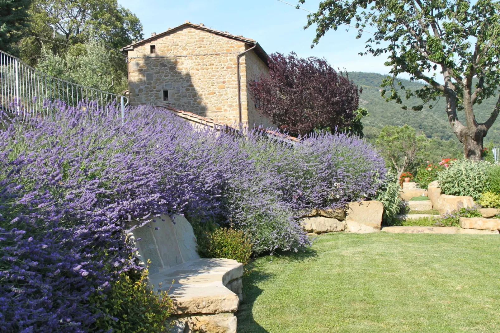 Villa Adelfa-Vue d'été