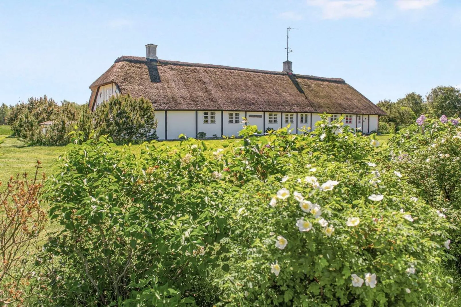 4 Sterne Ferienhaus in Læsø-Außenbereich