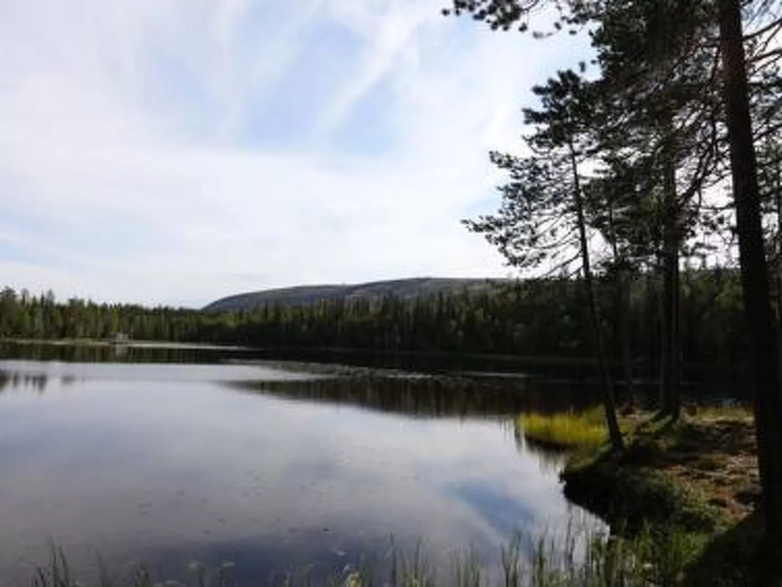 Metsä-luosto-Dehors