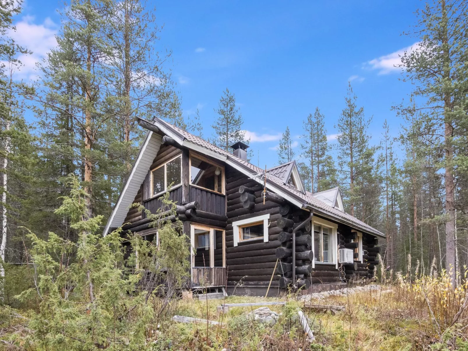 Tunturitähti, lainio-Outside