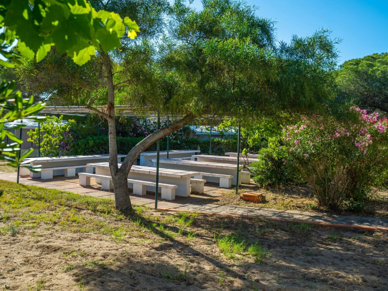 Camping Baia Paradiso-Inside