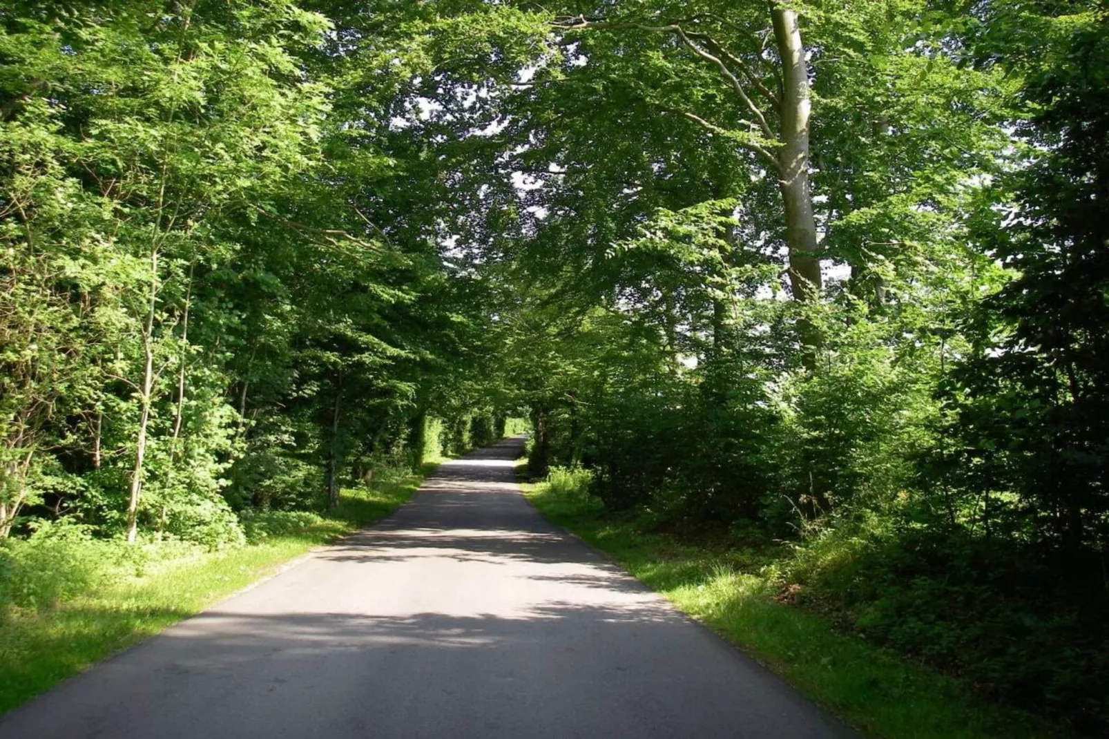 141732-Gebiete Sommer 5 km