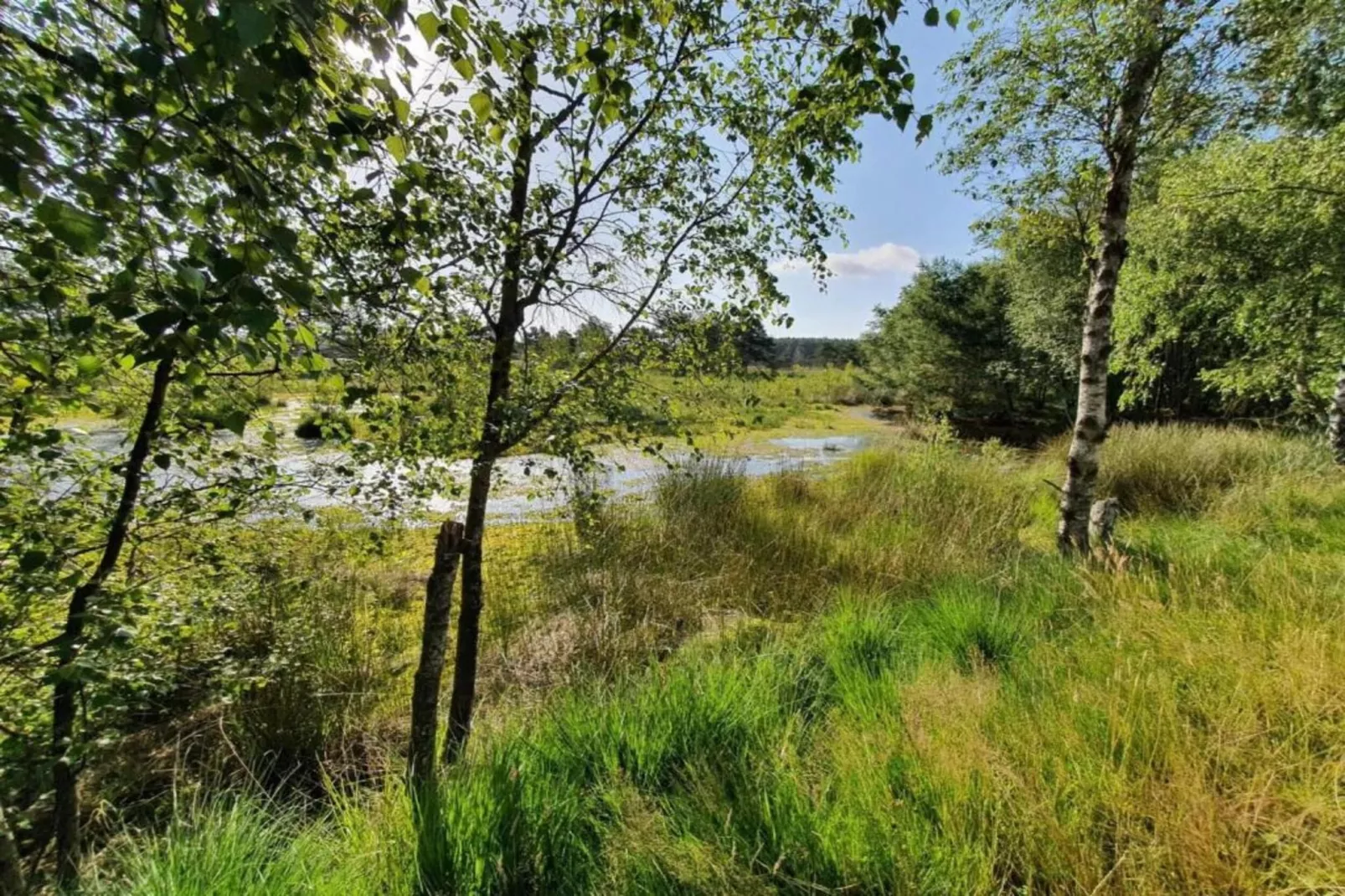 Waldsuite-Areas summer 20km