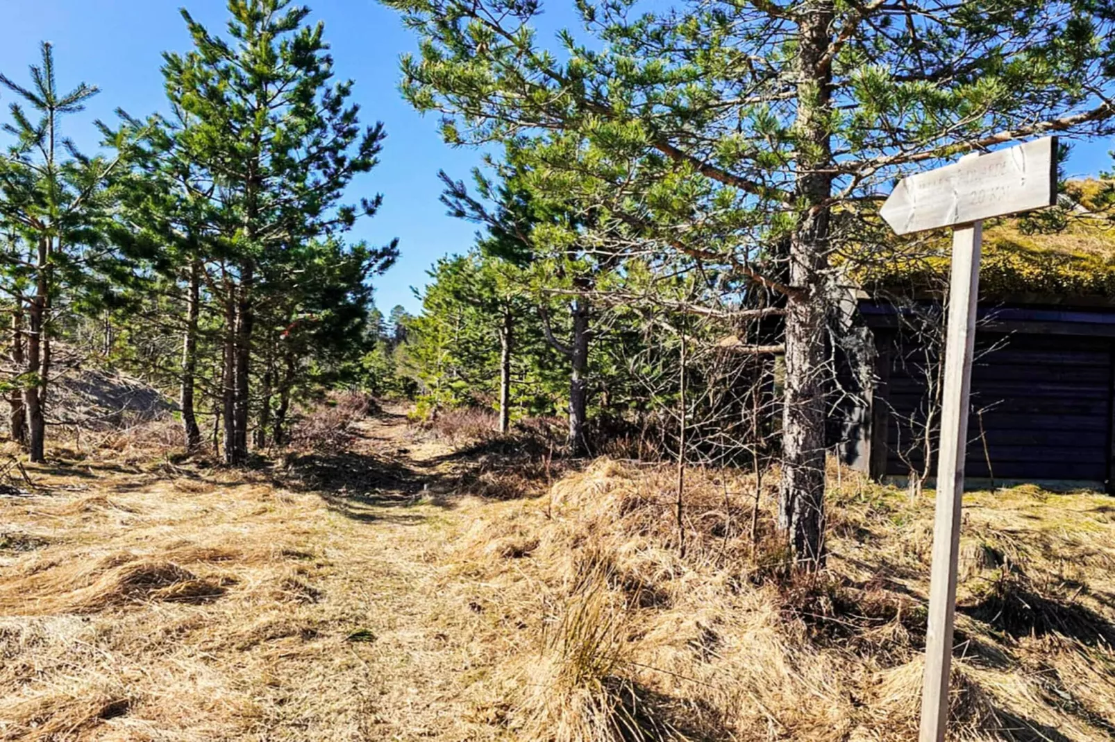 11 person holiday home in Hornnes-Not tagged