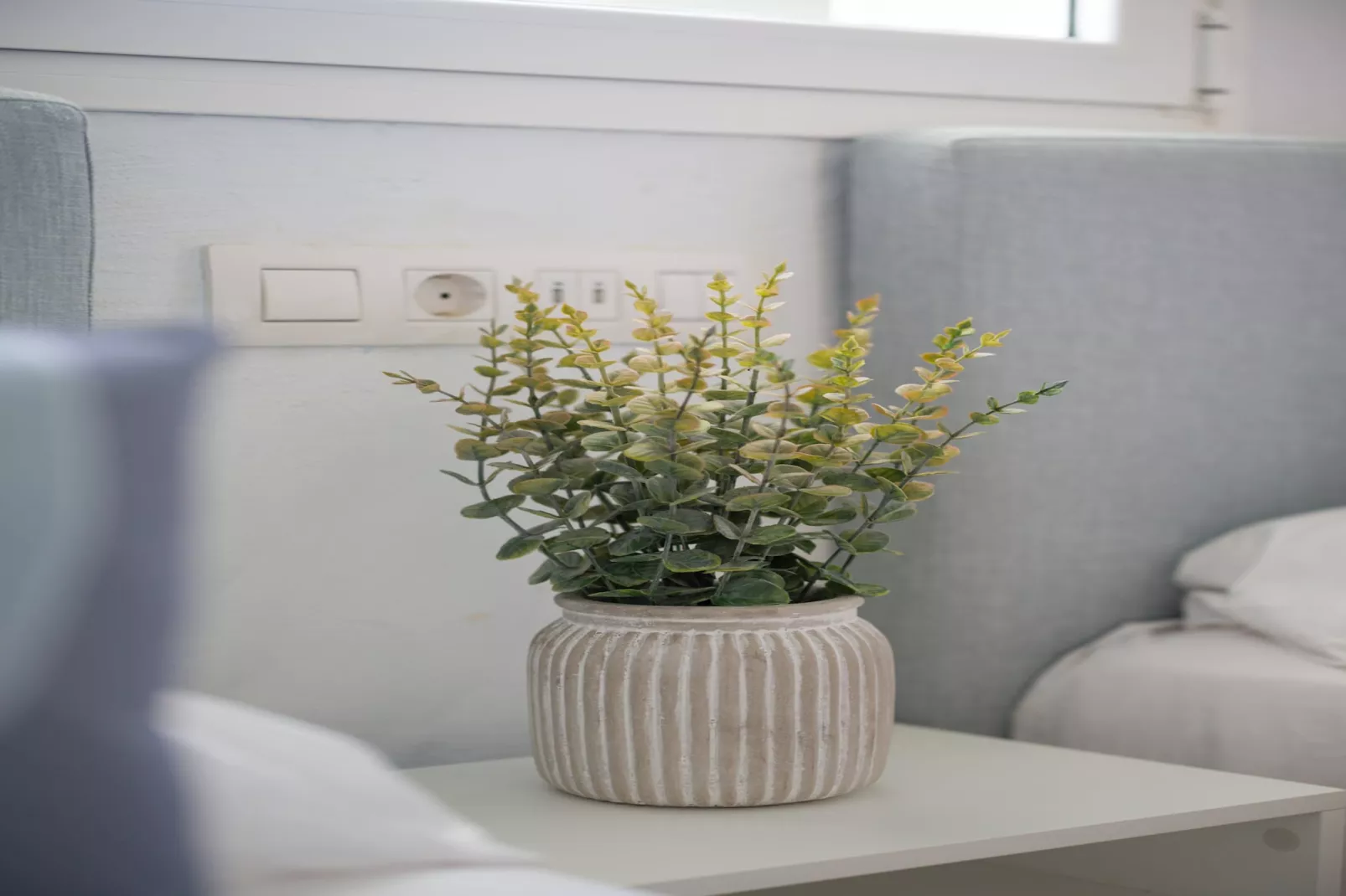 PENKY SUMMER-Ambiente