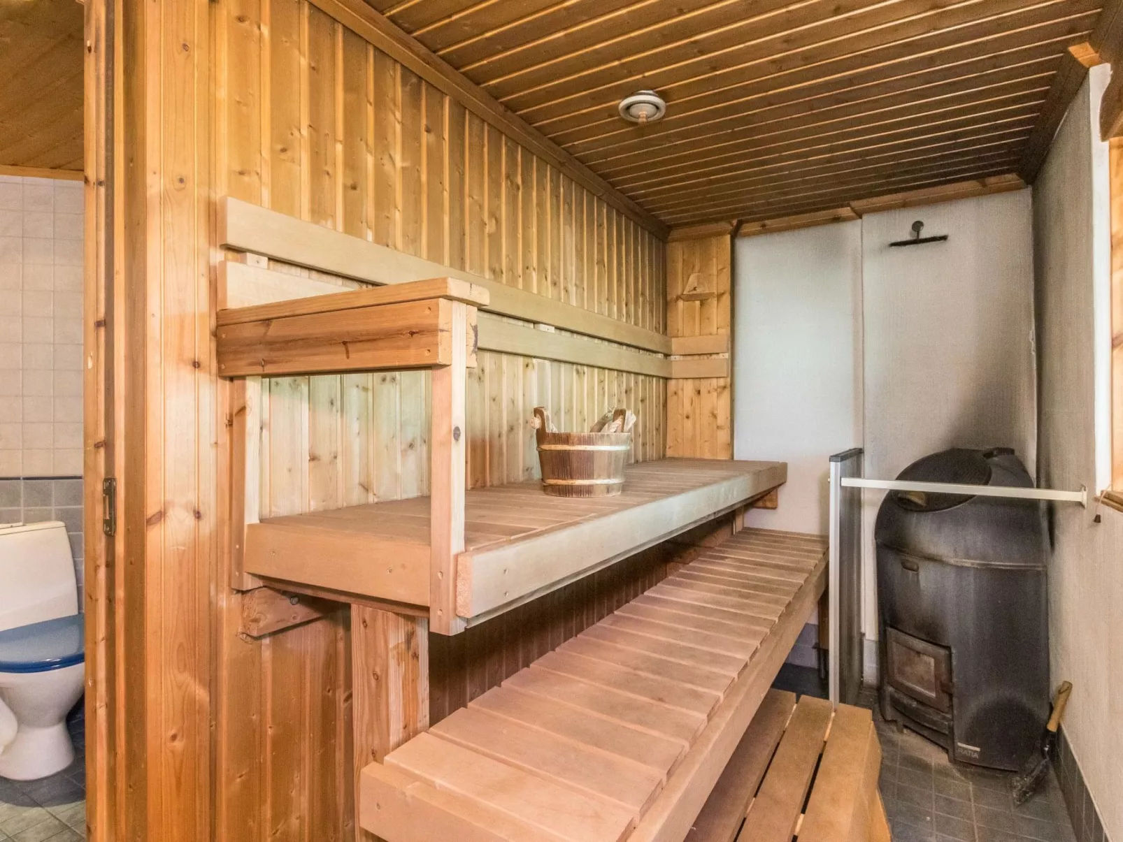 Puolen hehtaarin metsä-Inside