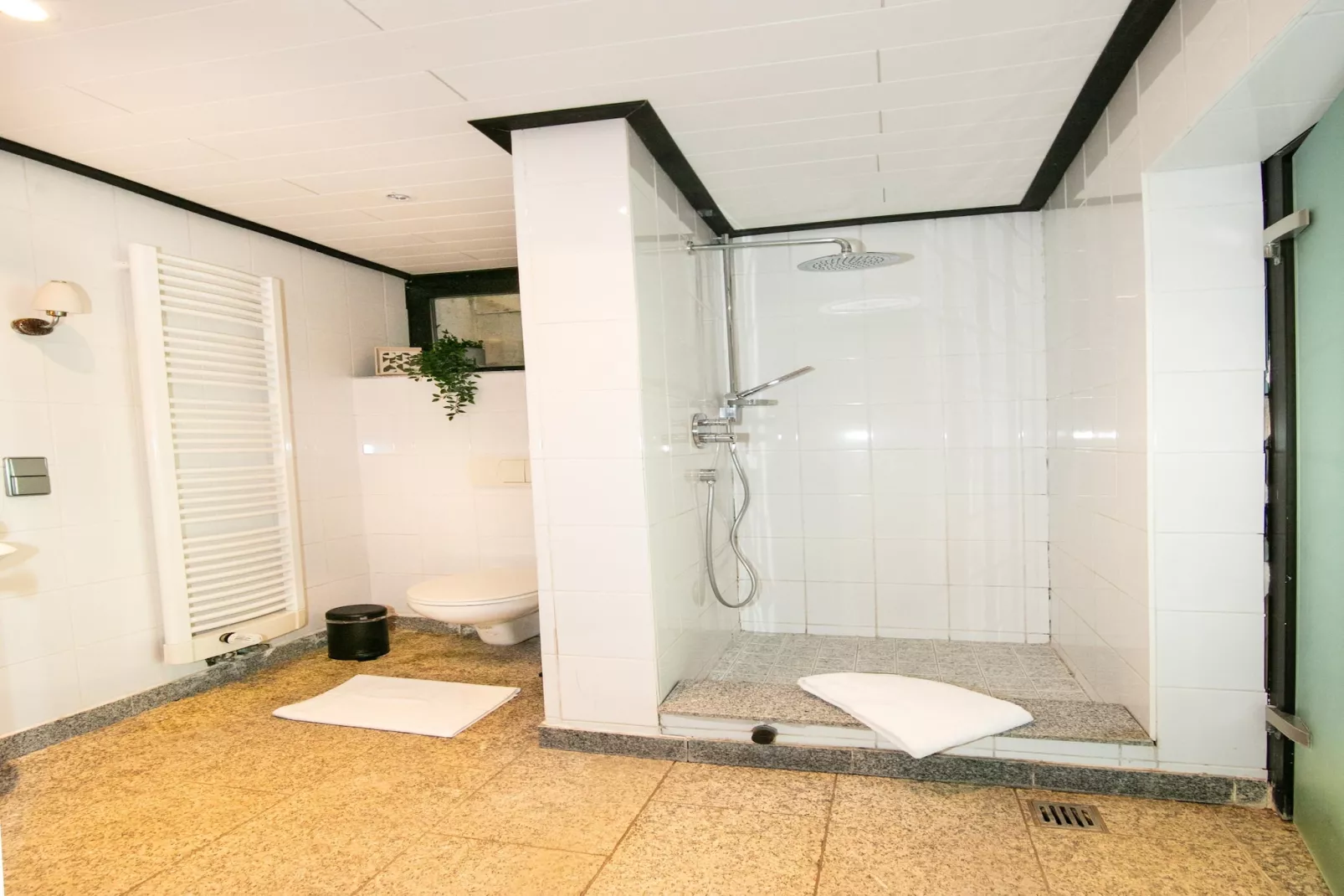 Villa Weitersburg mit indoor Pool-Bathroom
