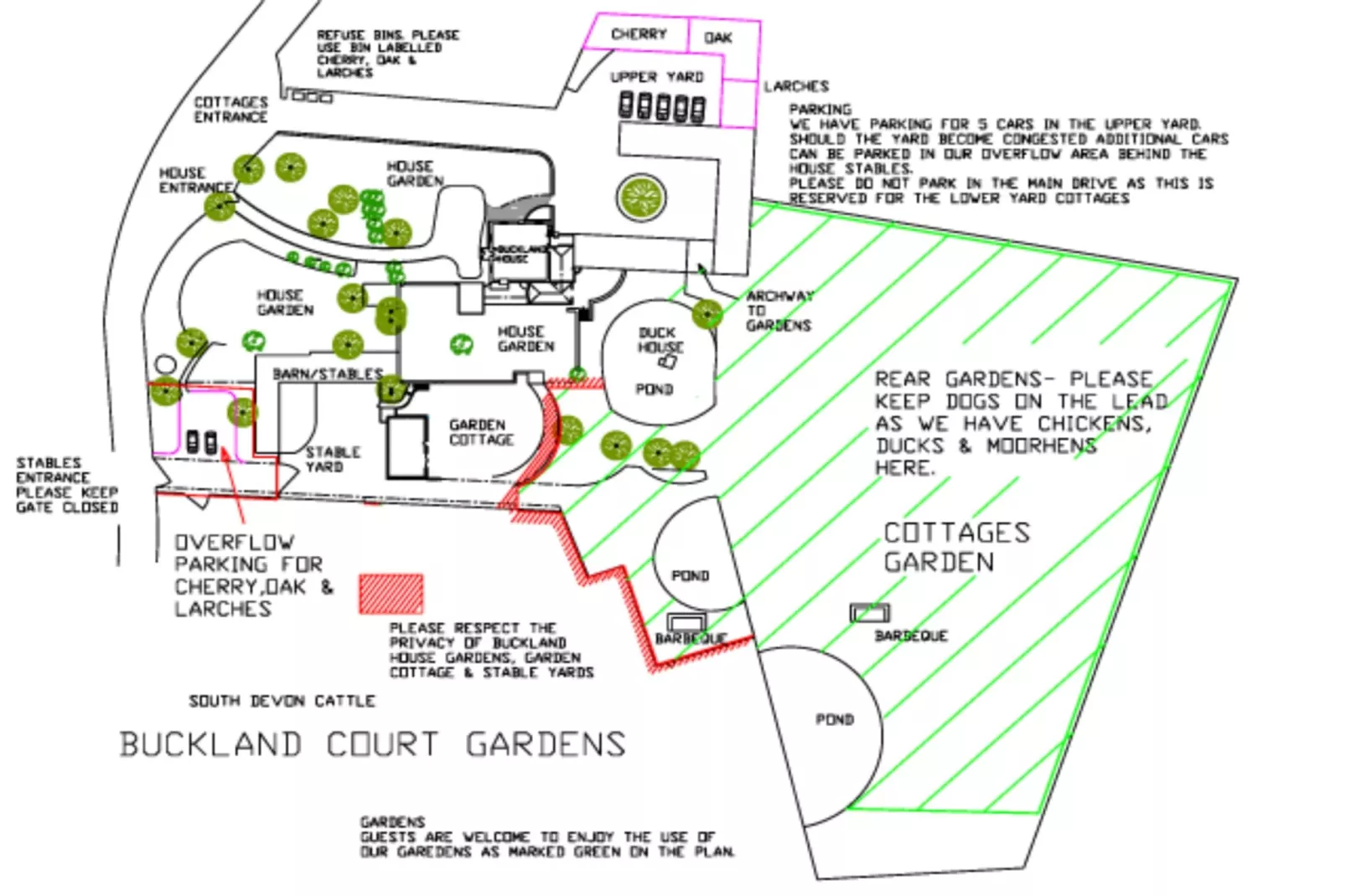Cherry at Buckland Court-Outdoor