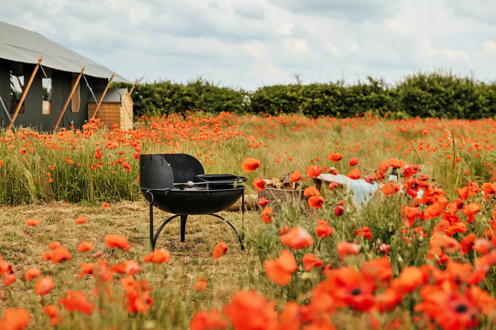 Foxley Lodge-Outdoor