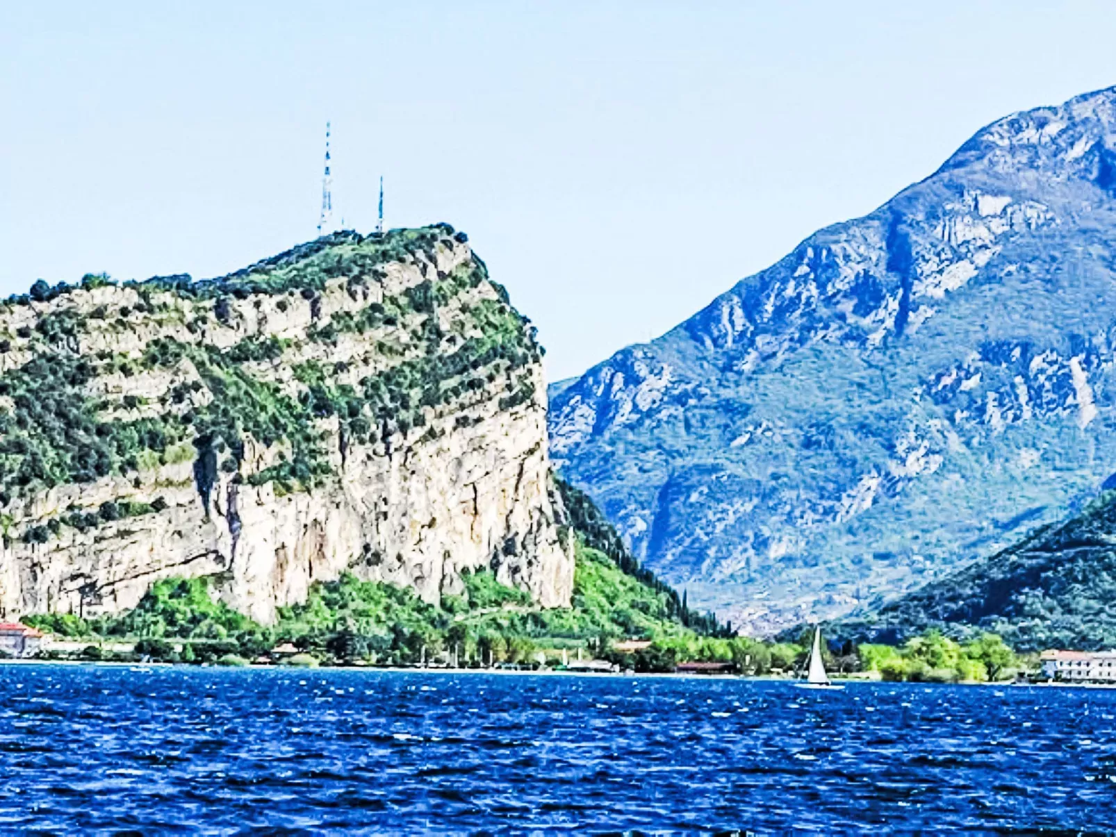 Calicantus - Nespolo-Area
