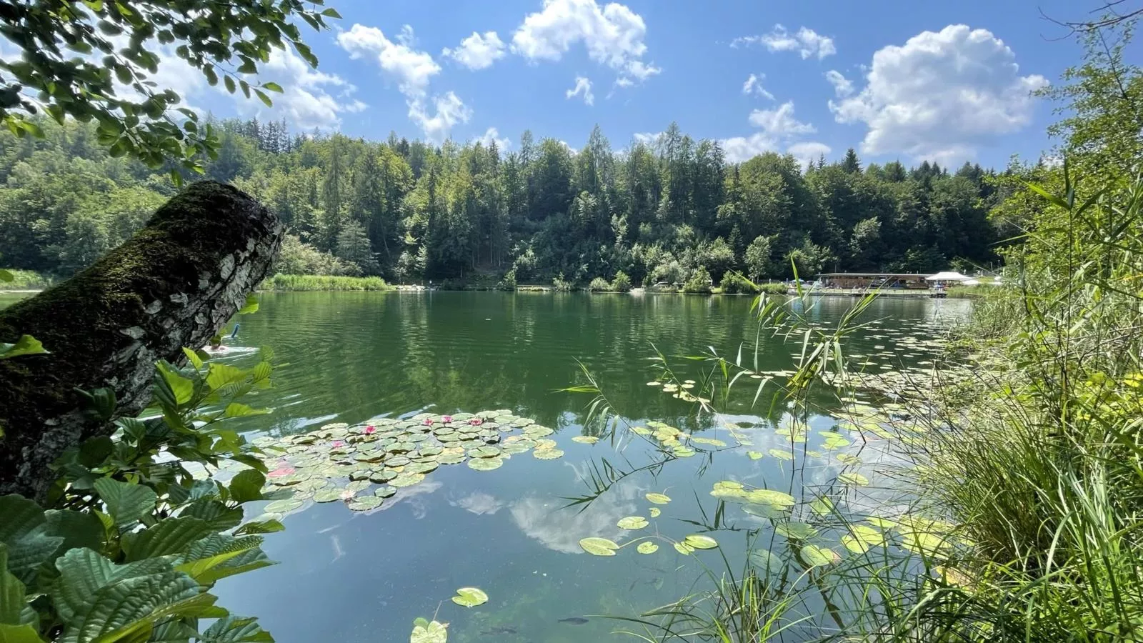 Residenz Aichwaldsee-Wasserblick