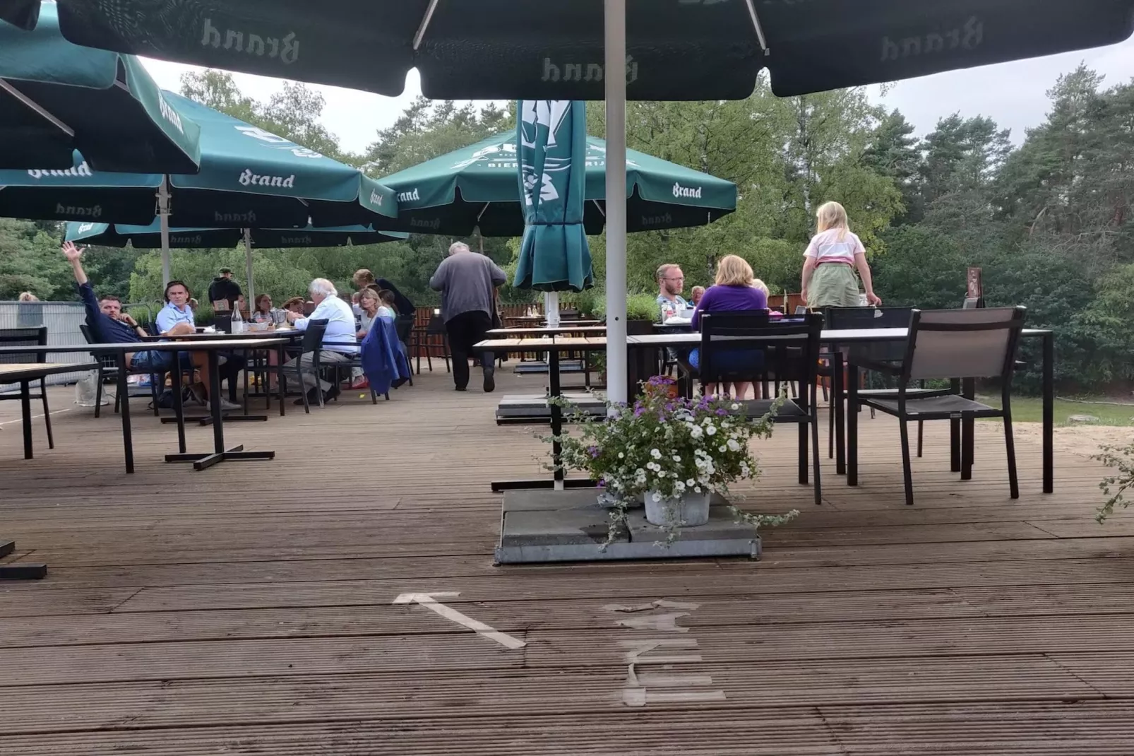 Chalet Nachtegaal (4 personen)
