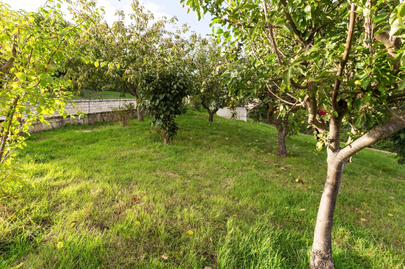 Casa Vacanza Becampobasso 2-Gardens summer