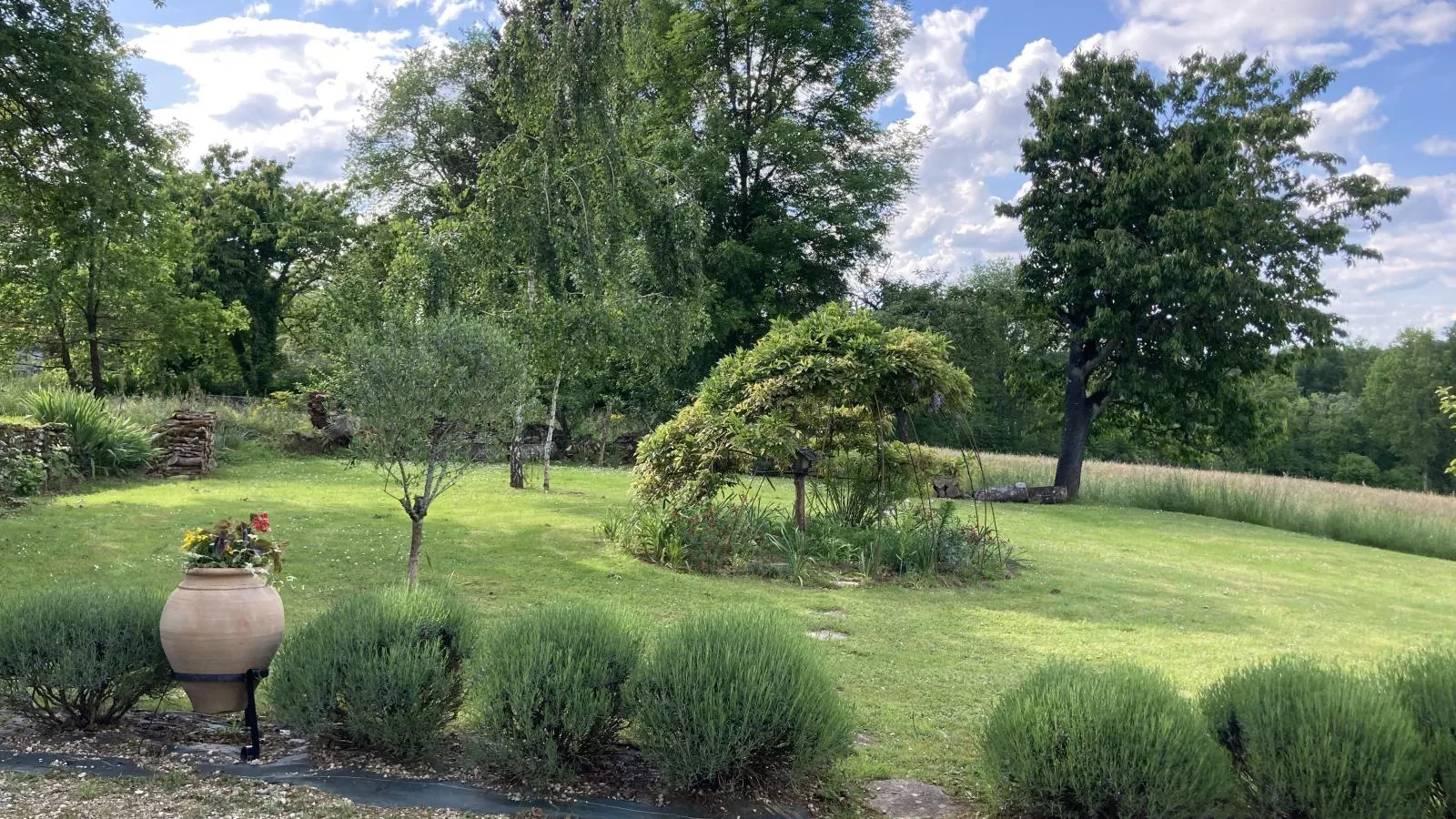 Maison des Yourtes-Gardens summer