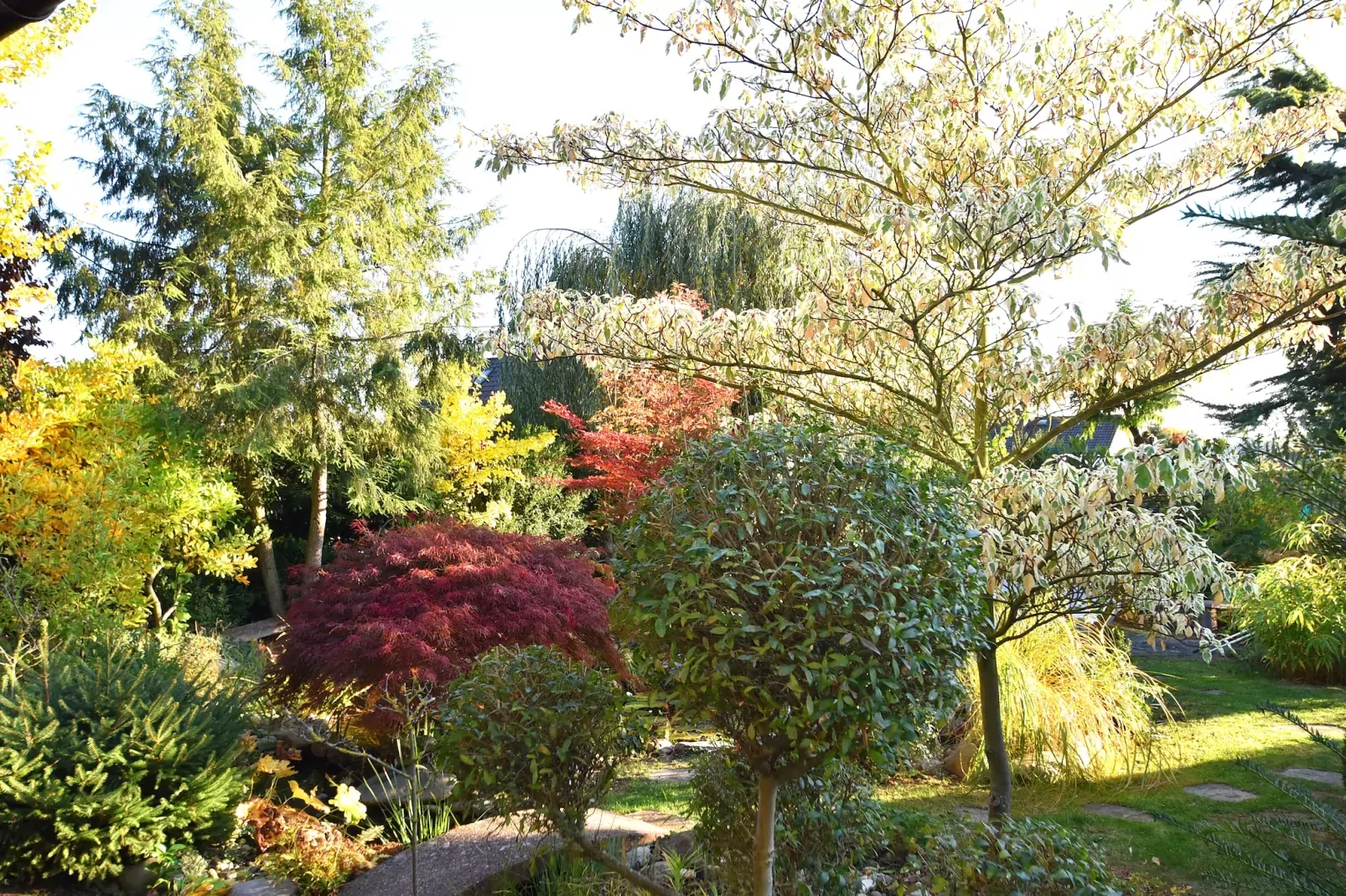 Severin-Jardin d'été