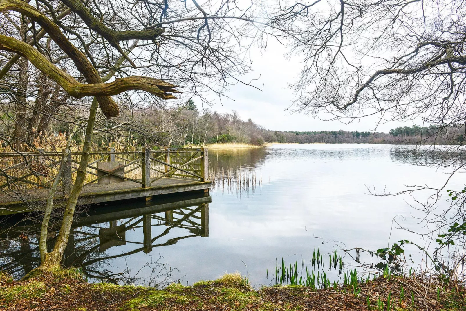 Ferienhaus Seeblick-Gebiete Sommer 20 km